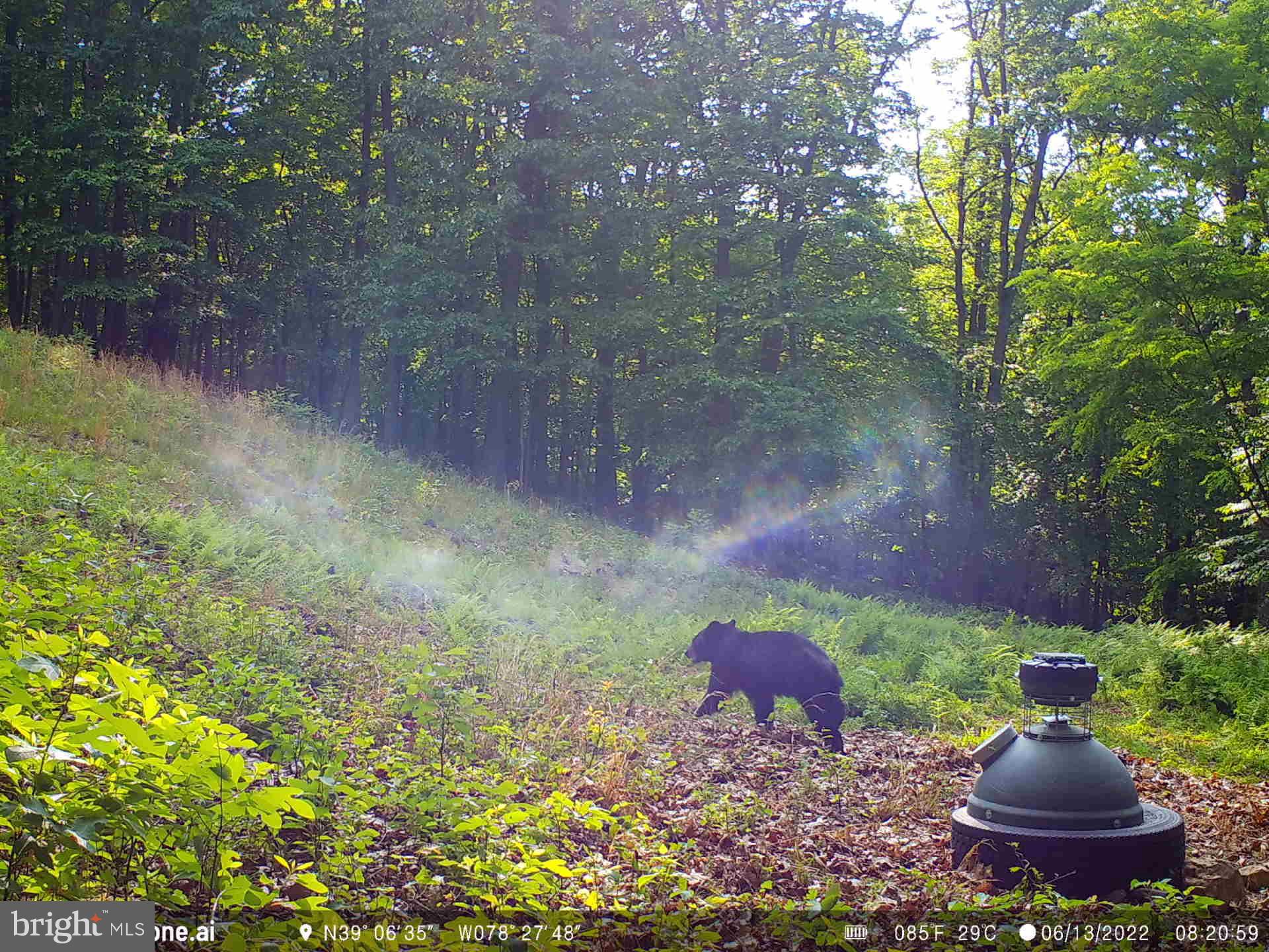 GREAT NORTH MOUNTAIN WILDERNESS - Residential