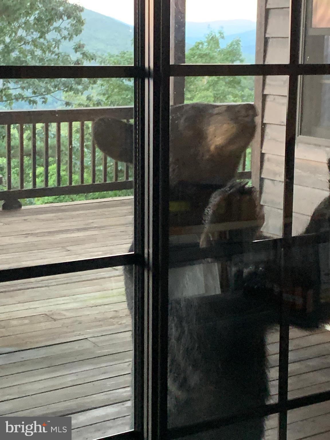 GREAT NORTH MOUNTAIN WILDERNESS - Residential