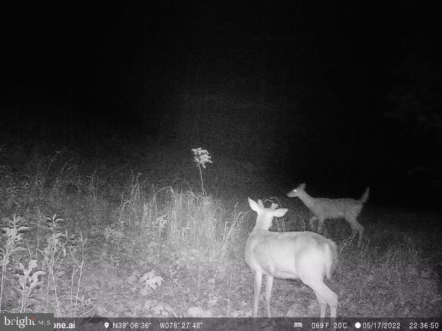 GREAT NORTH MOUNTAIN WILDERNESS - Residential