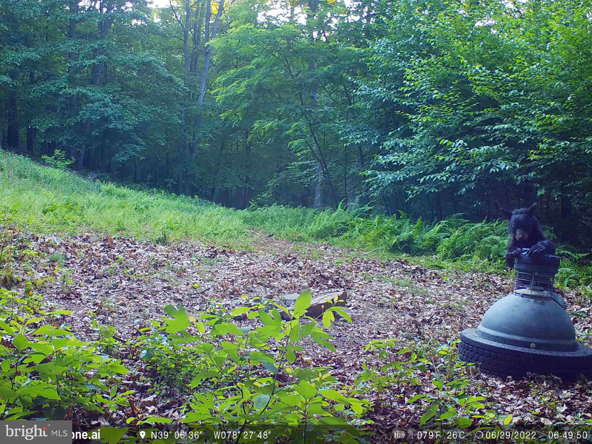 GREAT NORTH MOUNTAIN WILDERNESS - Residential