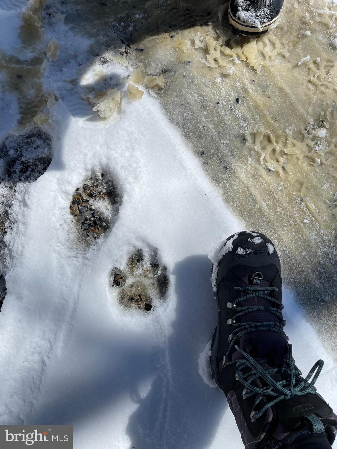 GREAT NORTH MOUNTAIN WILDERNESS - Residential