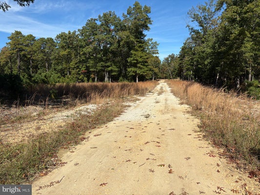 0 8TH ST, MAYS LANDING, NJ 08330 - Image d01aa7c6f64dc67e918bde8ba4d78cc3/2573319503