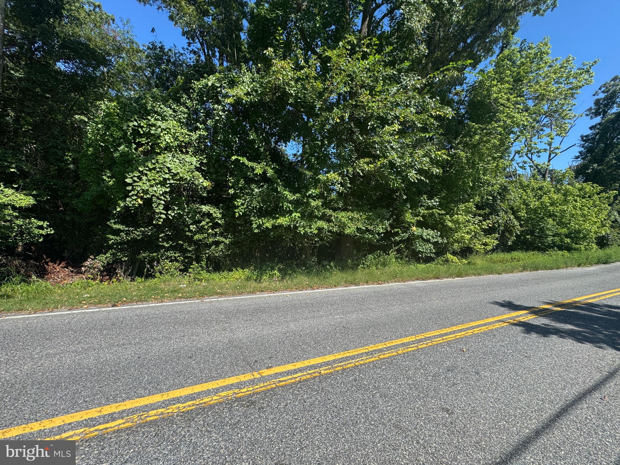MARYLAND AVENUE