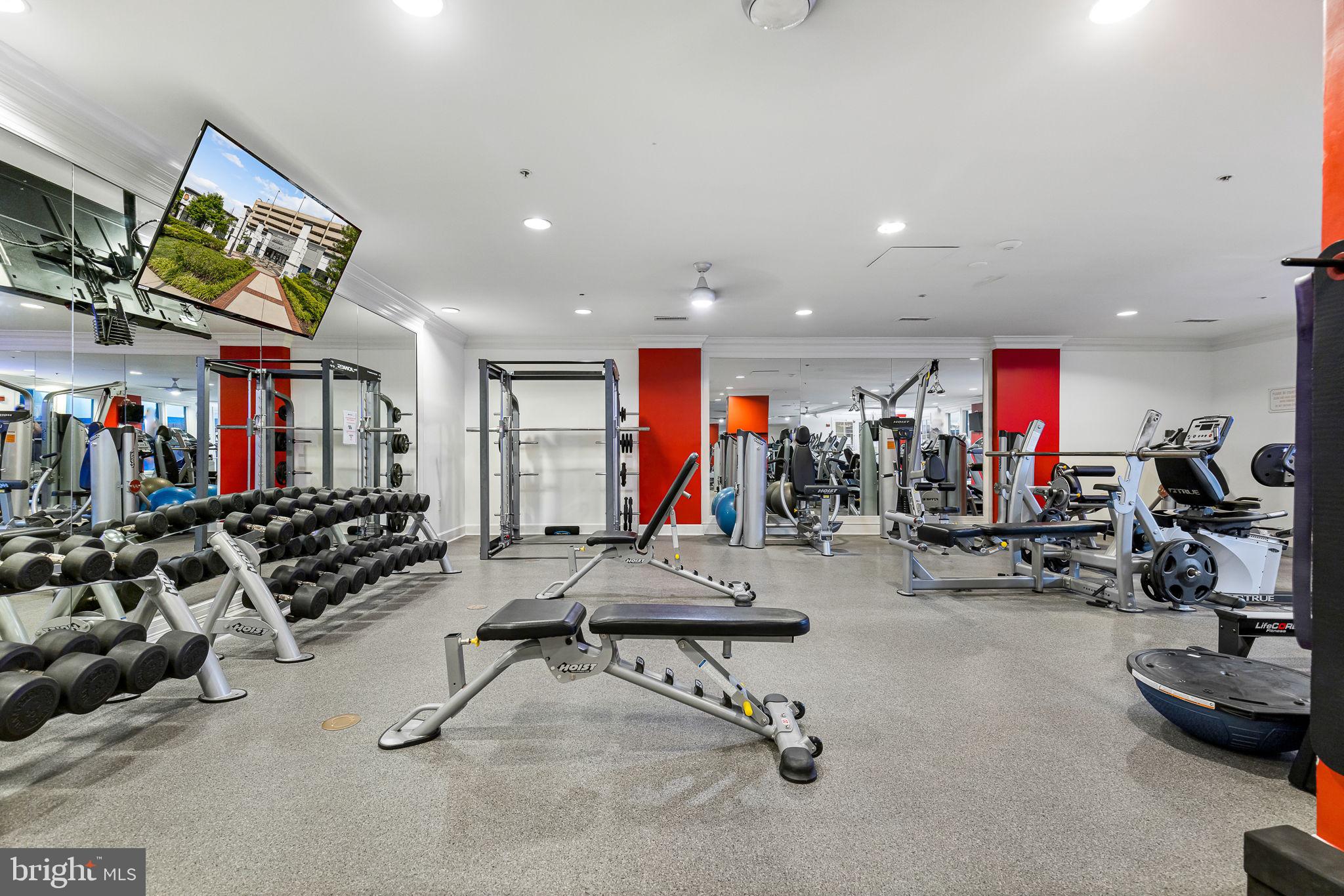 HALSTEAD AT THE METRO - Residential