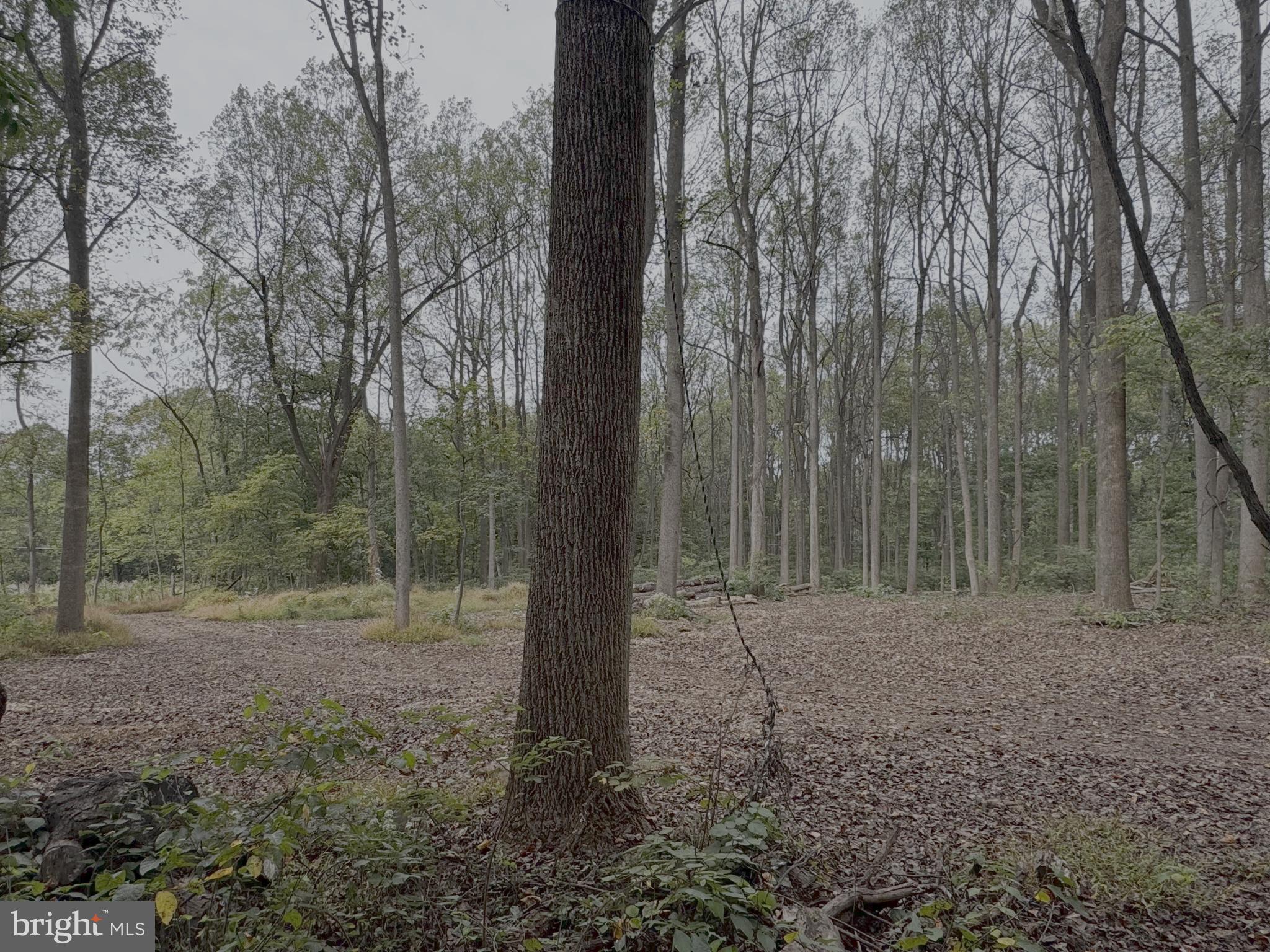 0 MEADOW TRAIL LOT 5