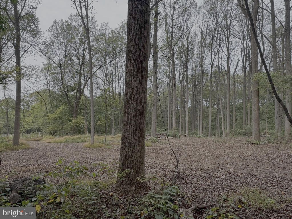 Photo of 0 Meadow Trail #LOT 5, DILLSBURG, PA 17019 (MLS # PAYK2094298)