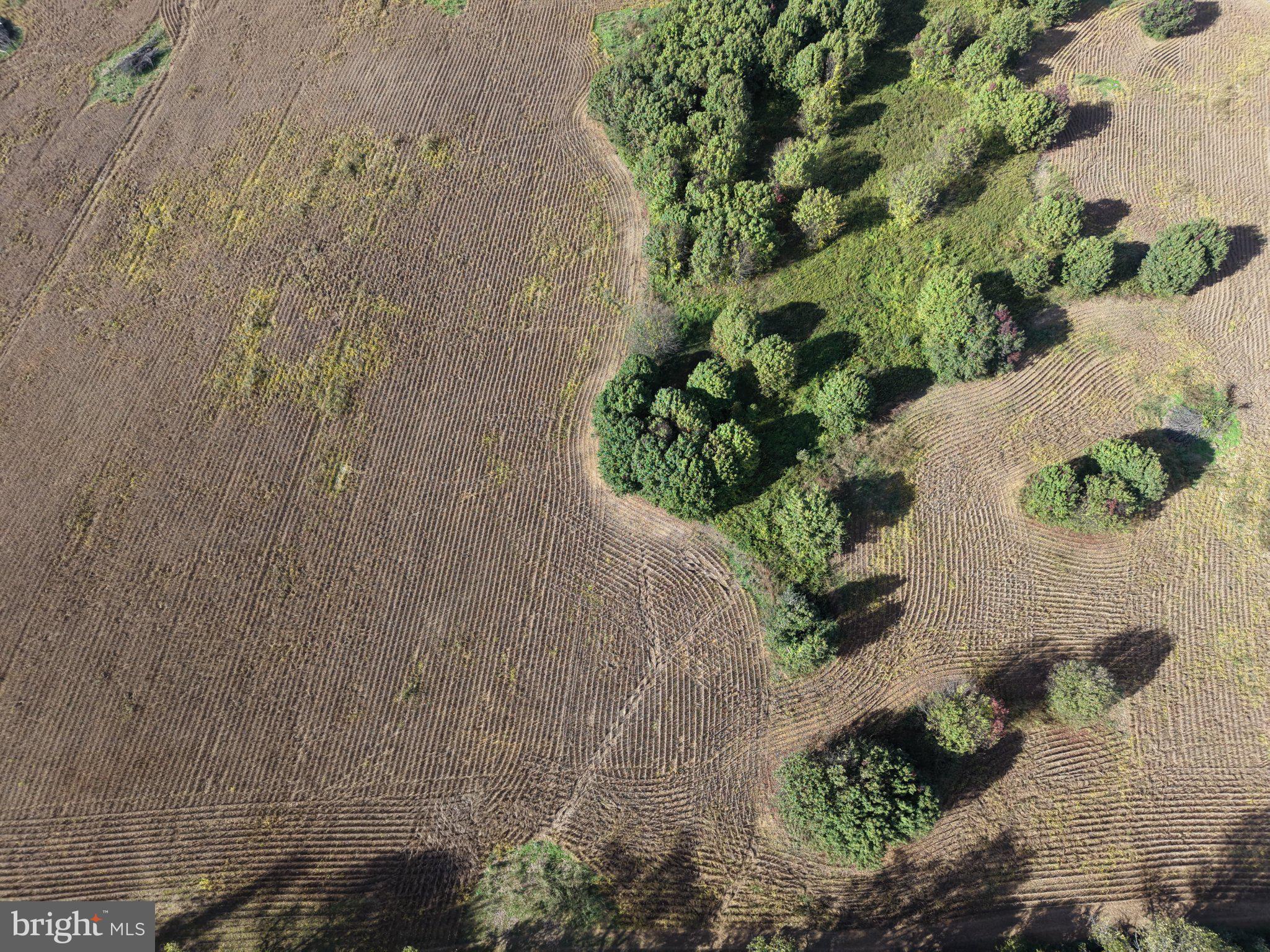TRACT 4: 3+/- ACRES OFF PARSHALL ROAD