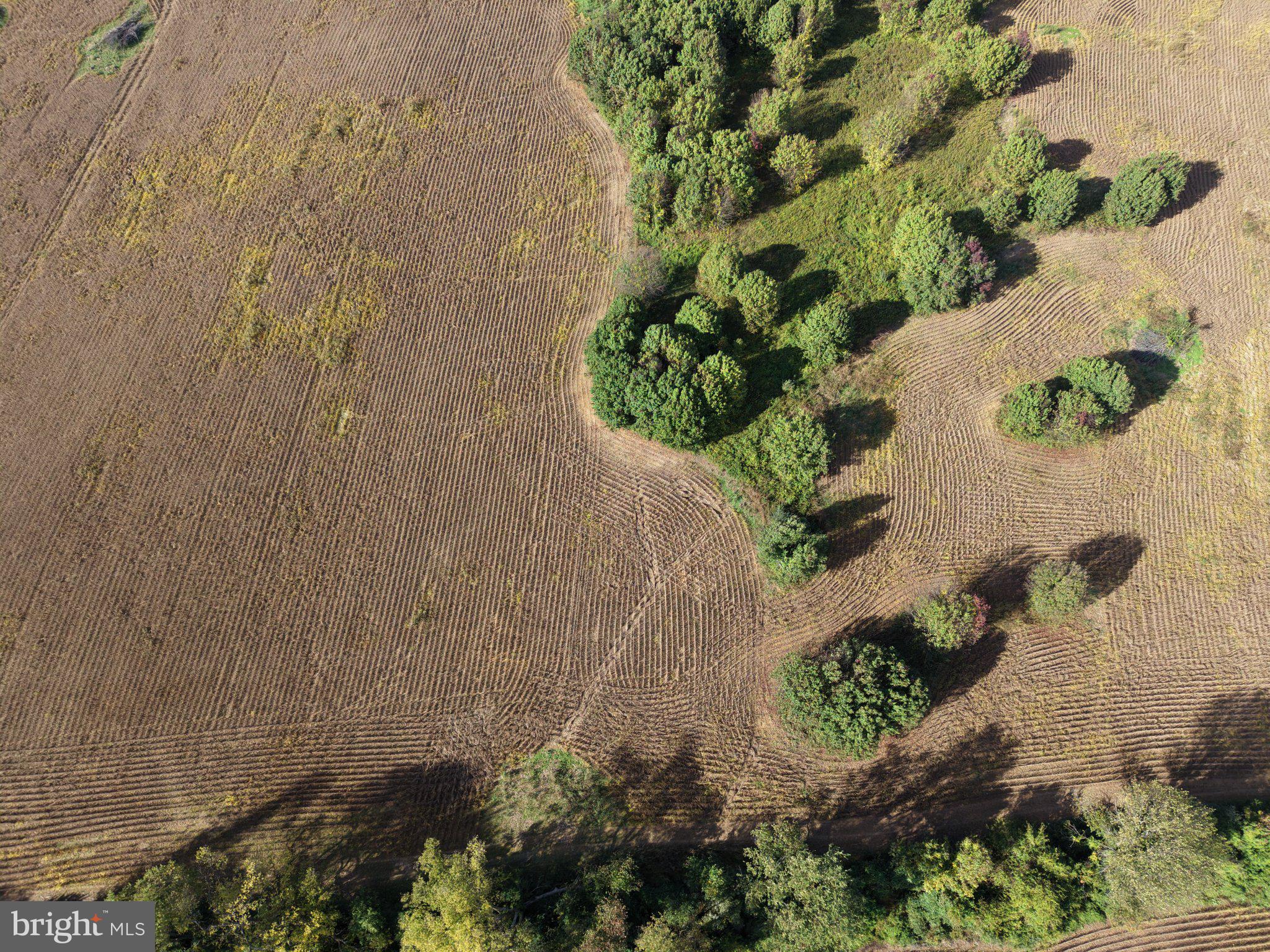 TRACT 4: 3+/- ACRES OFF PARSHALL ROAD