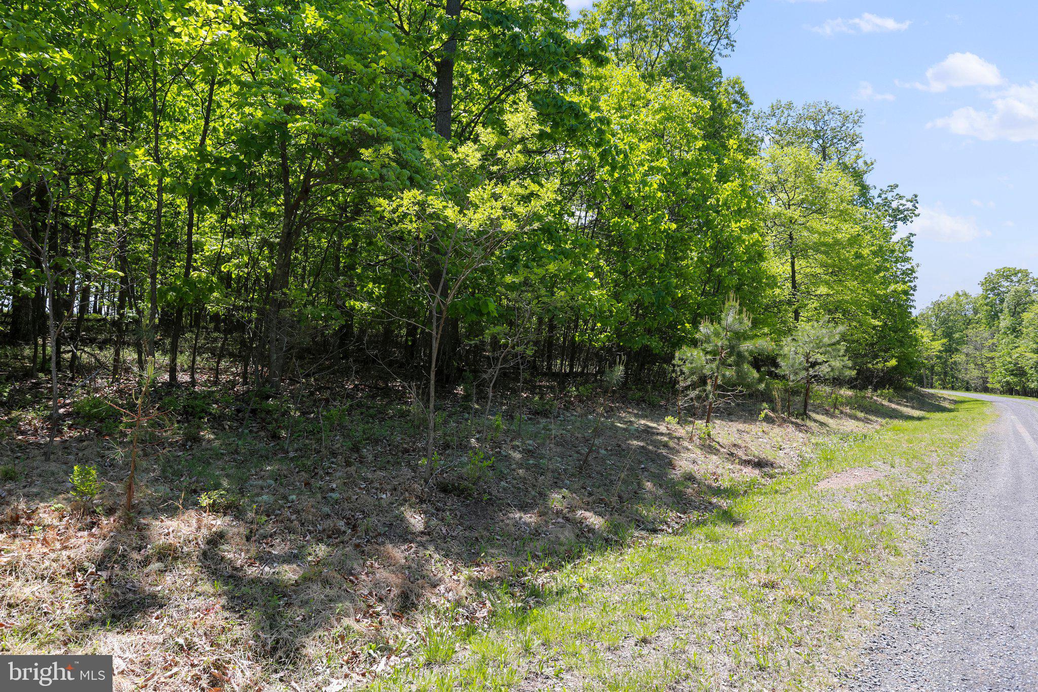 BLUFFS ON THE POTOMAC - Land