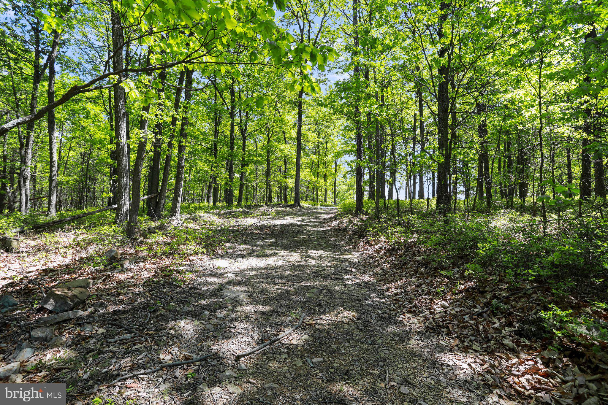 BLUFFS ON THE POTOMAC - Land