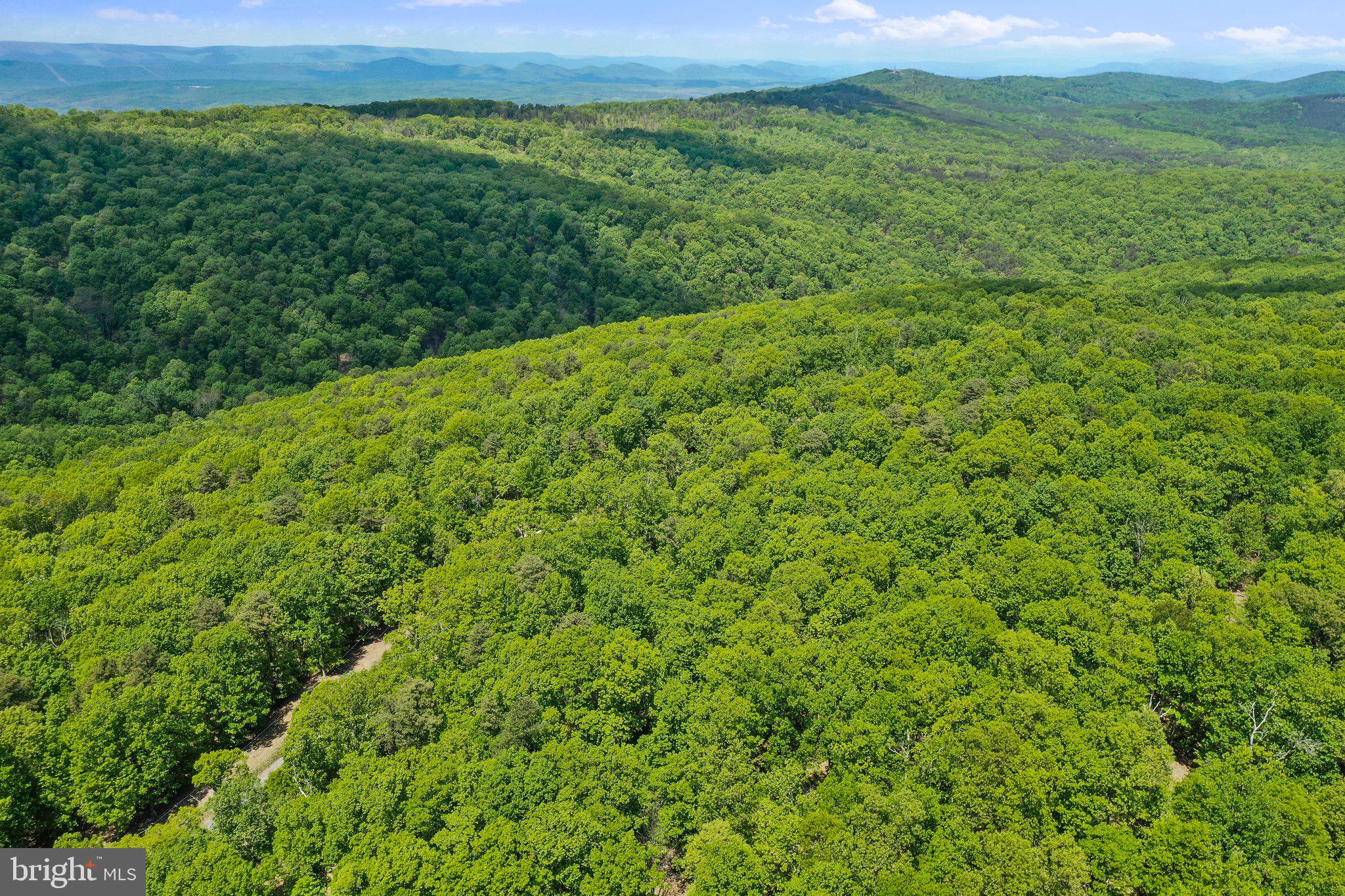 BLUFFS ON THE POTOMAC - Land