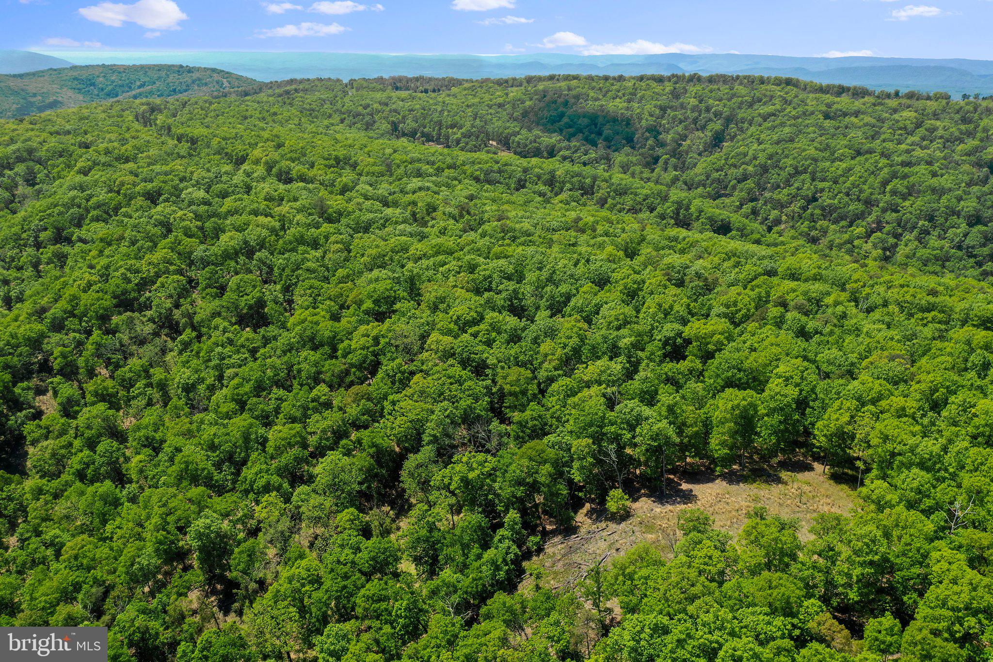 BLUFFS ON THE POTOMAC - Land