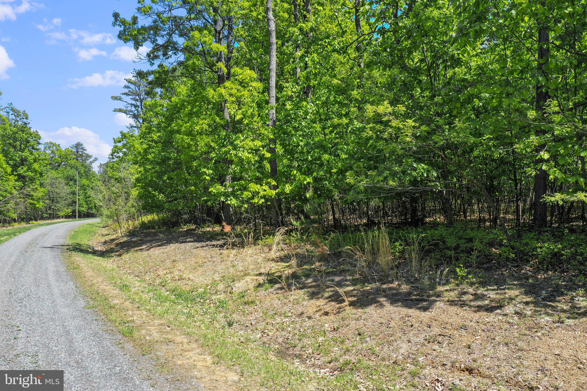BLUFFS ON THE POTOMAC - Land