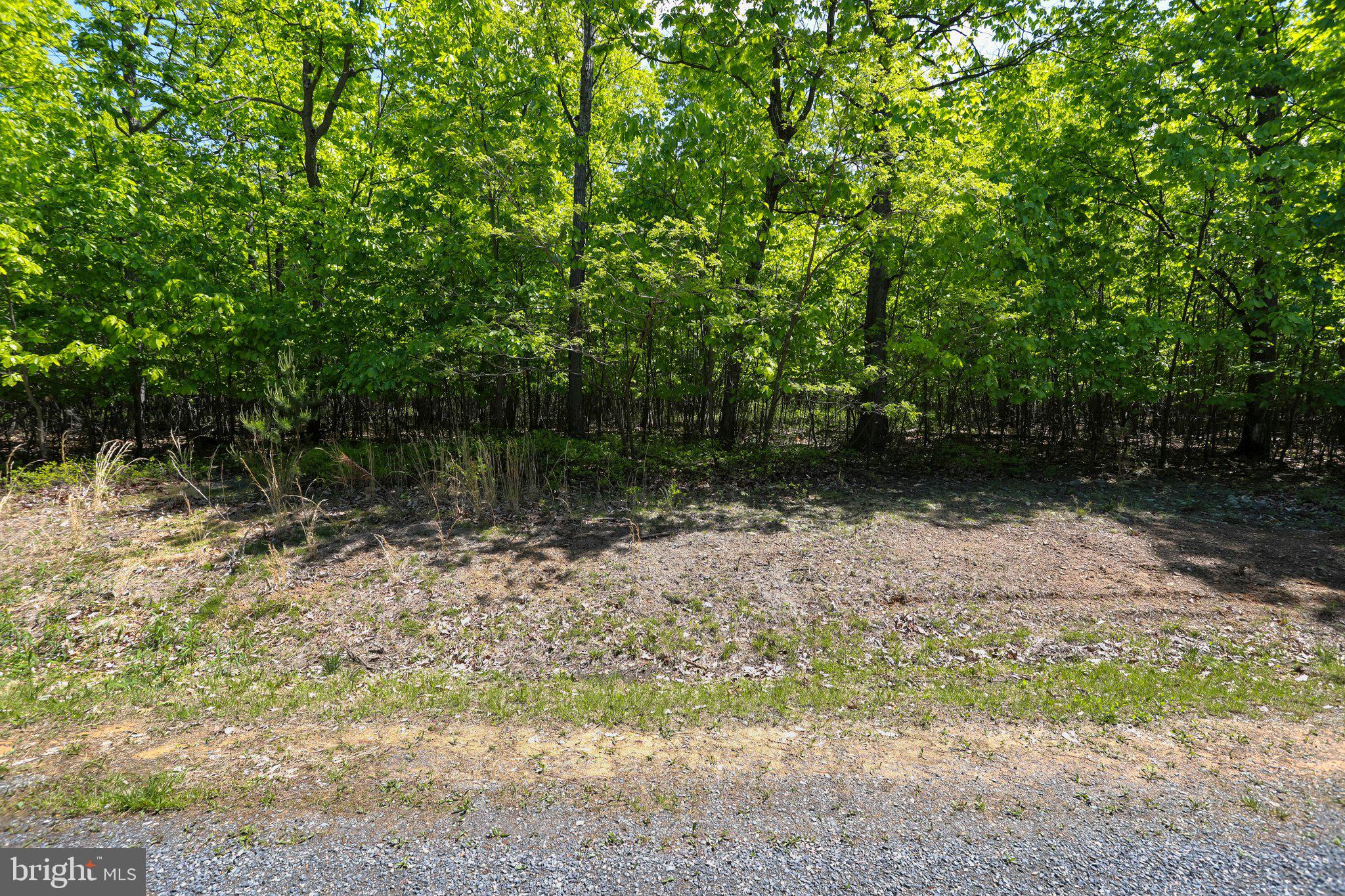 BLUFFS ON THE POTOMAC - Land