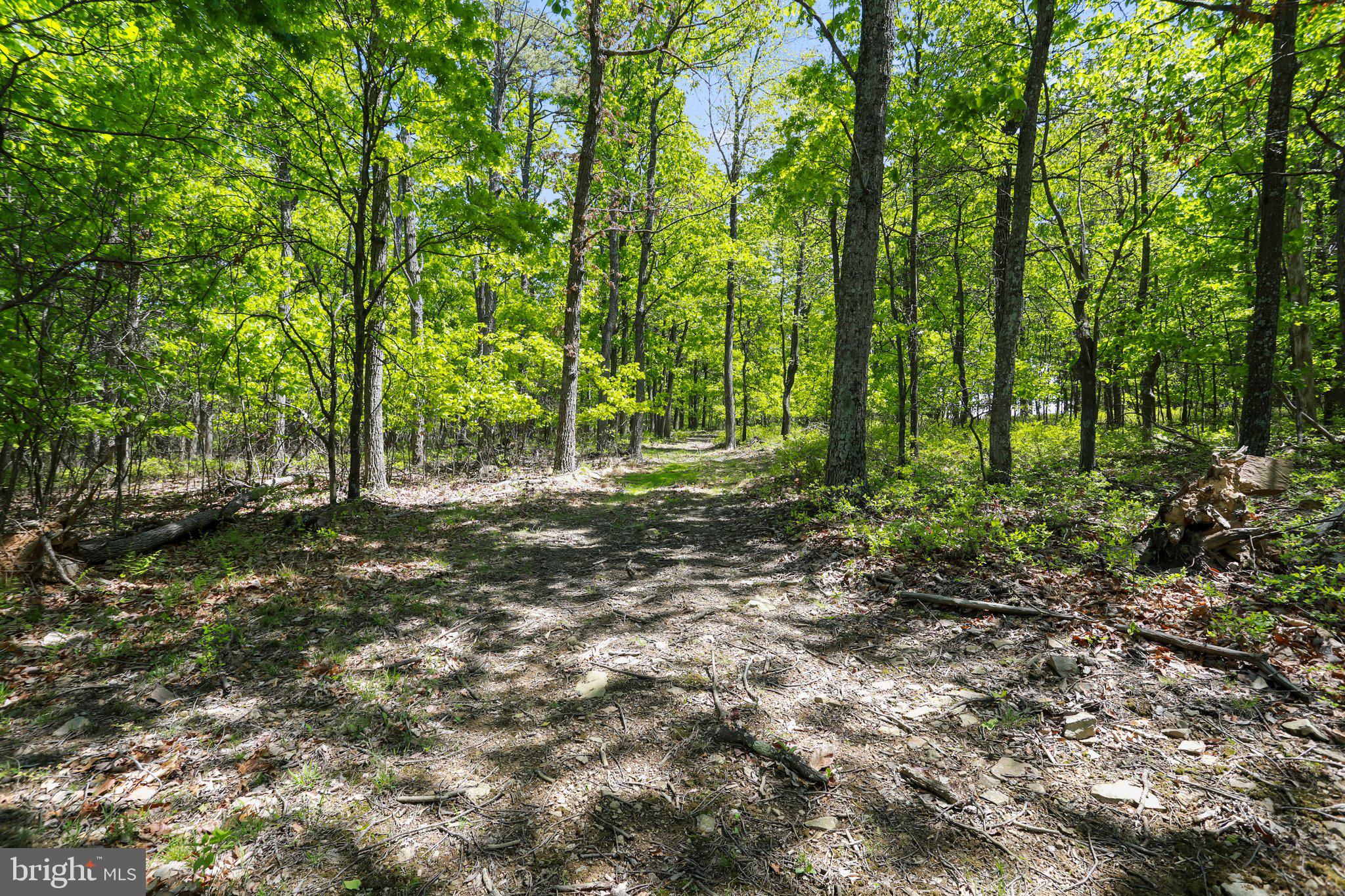 BLUFFS ON THE POTOMAC - Land