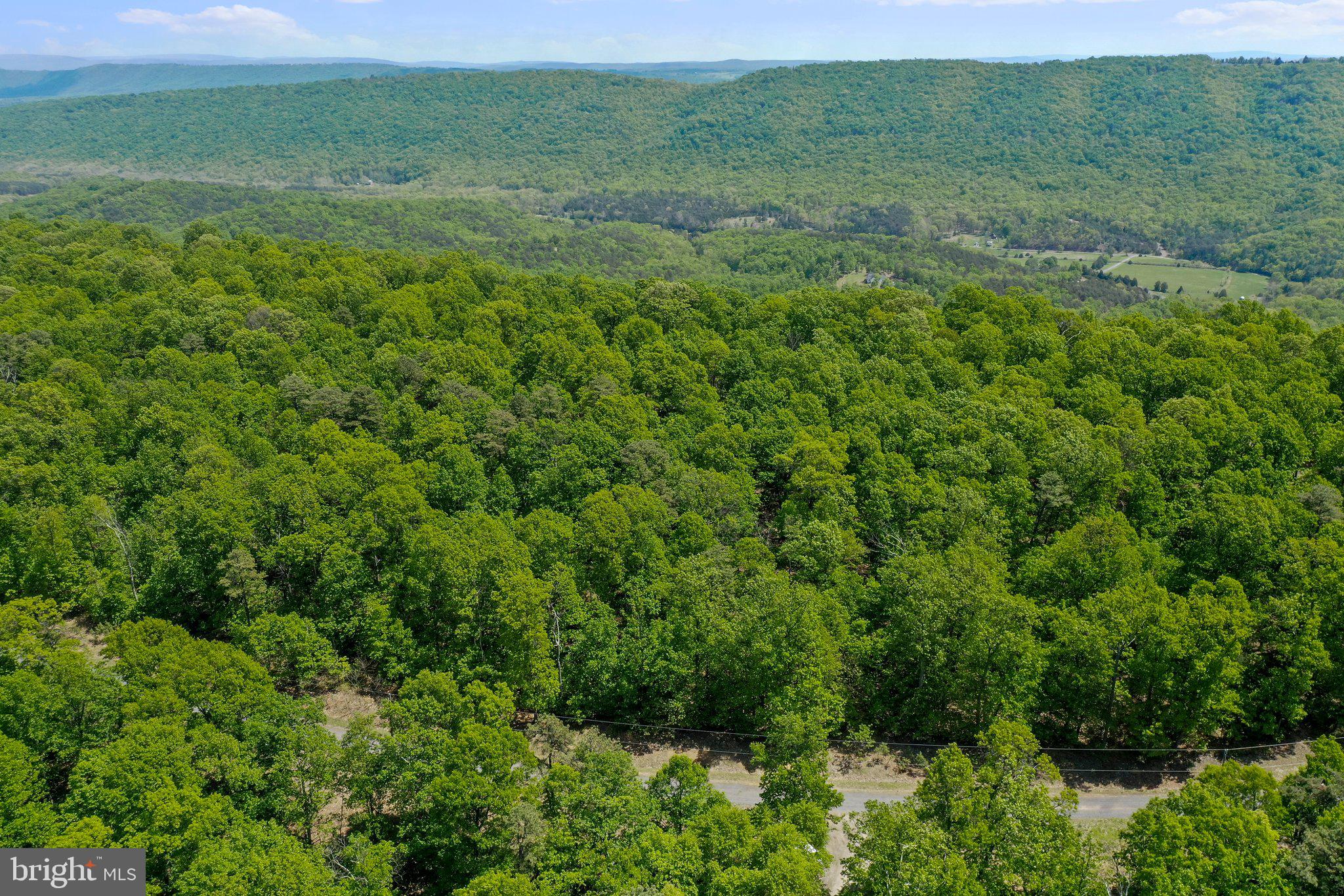 BLUFFS ON THE POTOMAC - Land