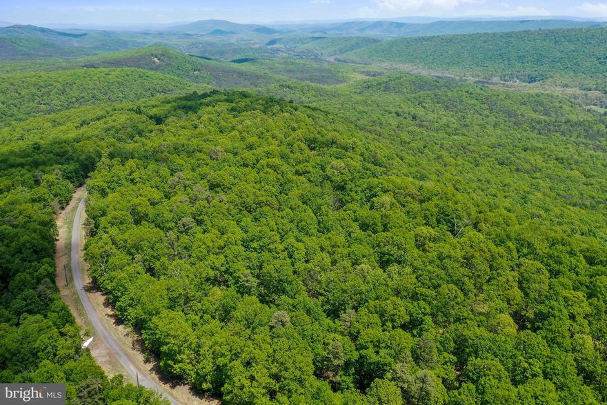 Secluded and private 20 acre lot within the gated community of Bluffs on the Potomac! This lot is wooded with a cleared area to build your perfect cabin retreat or forever home with a beautiful mountain view. Enjoy the wildlife, hunt on your own grounds, make it a weekend camping getaway. Private community access to the South Branch Potomac river where you can fish, swim, canoe/kayak, and have use of the pavilion and picnic areas. Schedule your showing today!