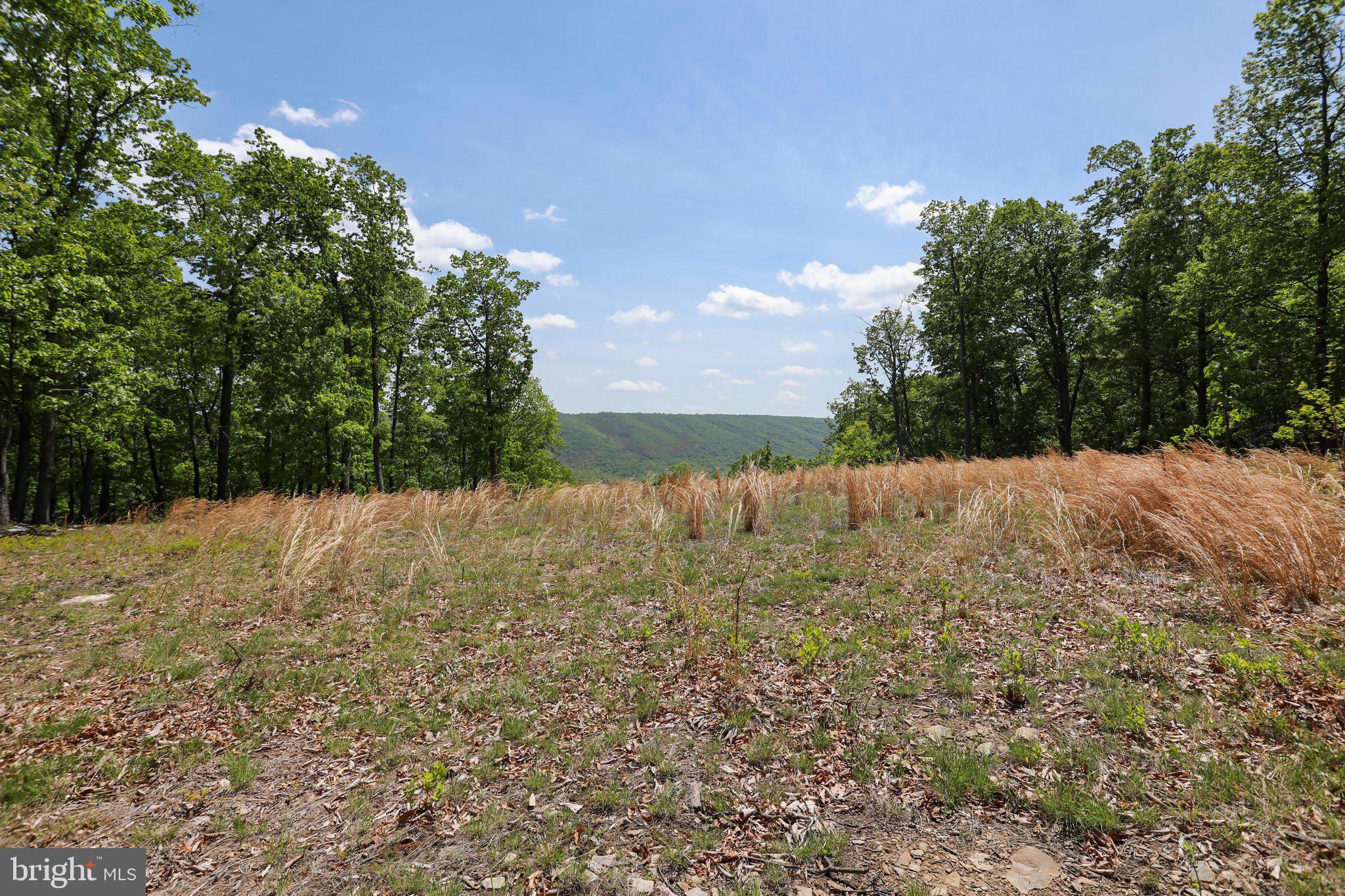 BLUFFS ON THE POTOMAC - Land