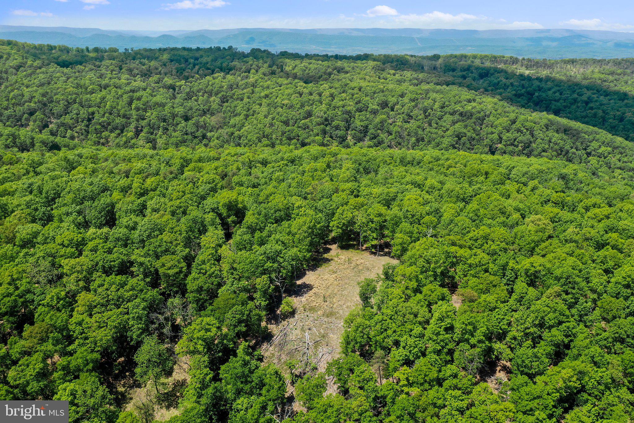 BLUFFS ON THE POTOMAC - Land