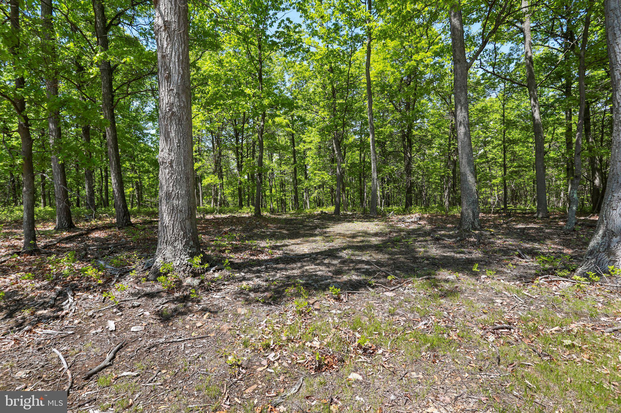 BLUFFS ON THE POTOMAC - Land