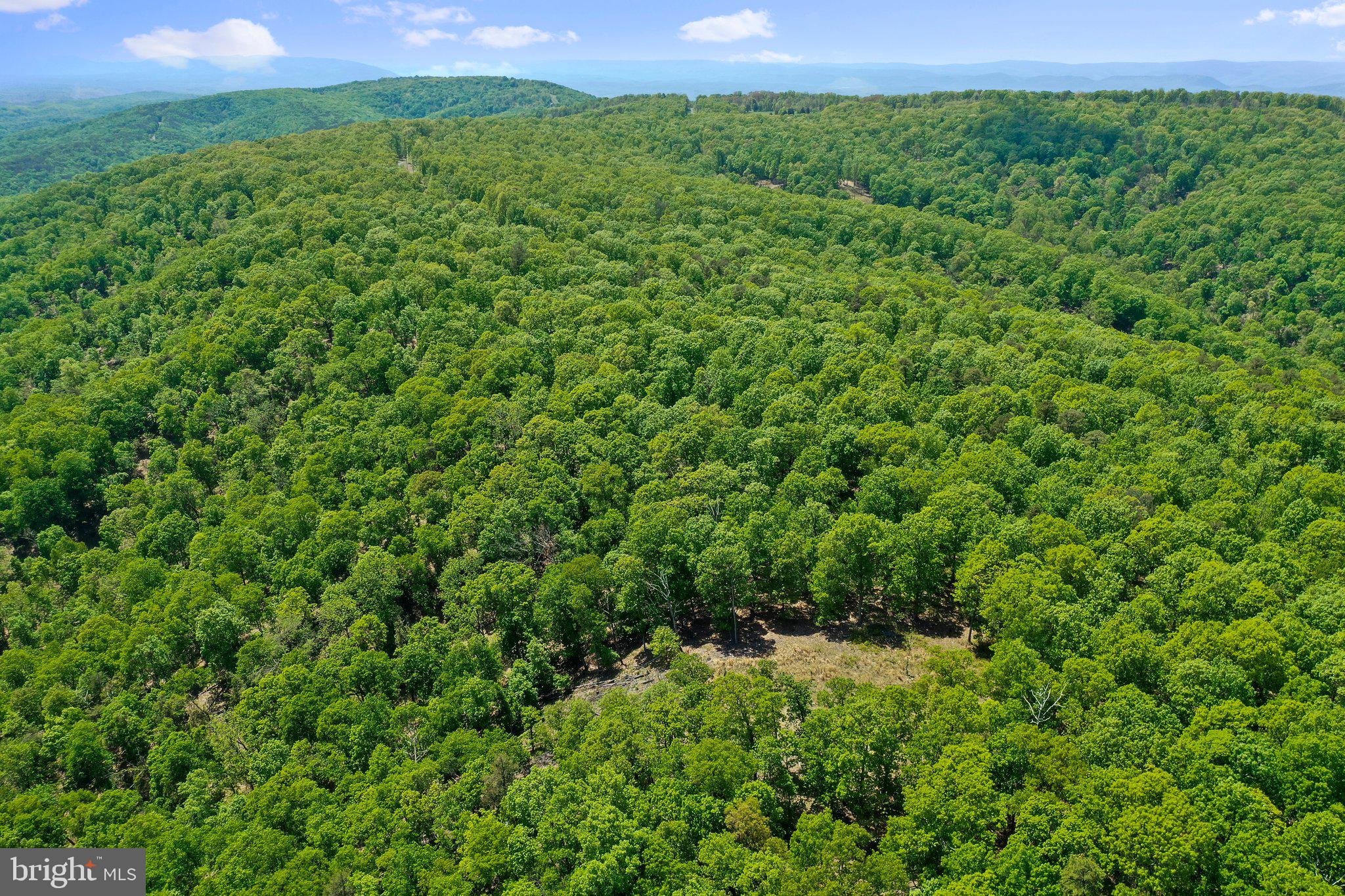 BLUFFS ON THE POTOMAC - Land