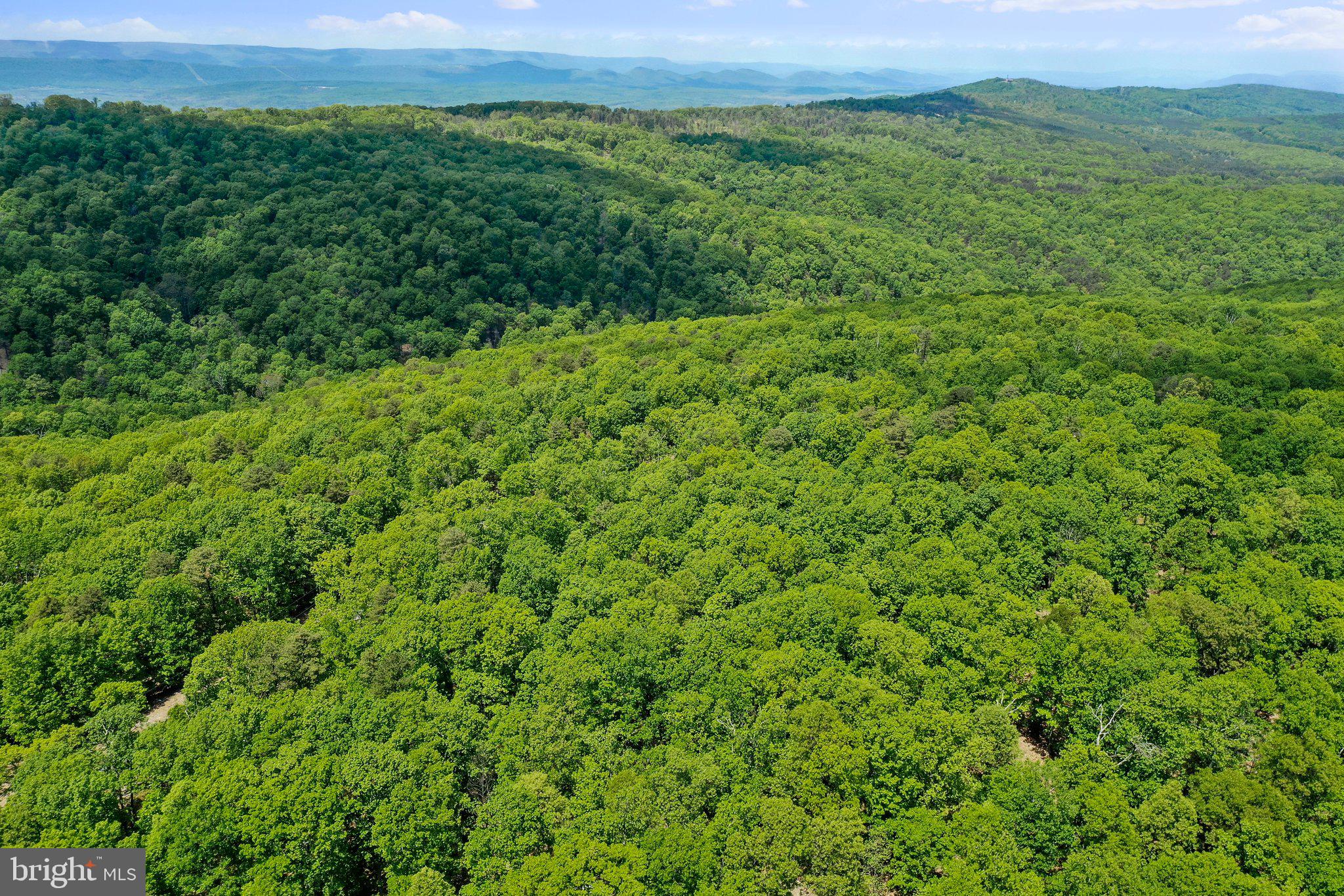 BLUFFS ON THE POTOMAC - Land