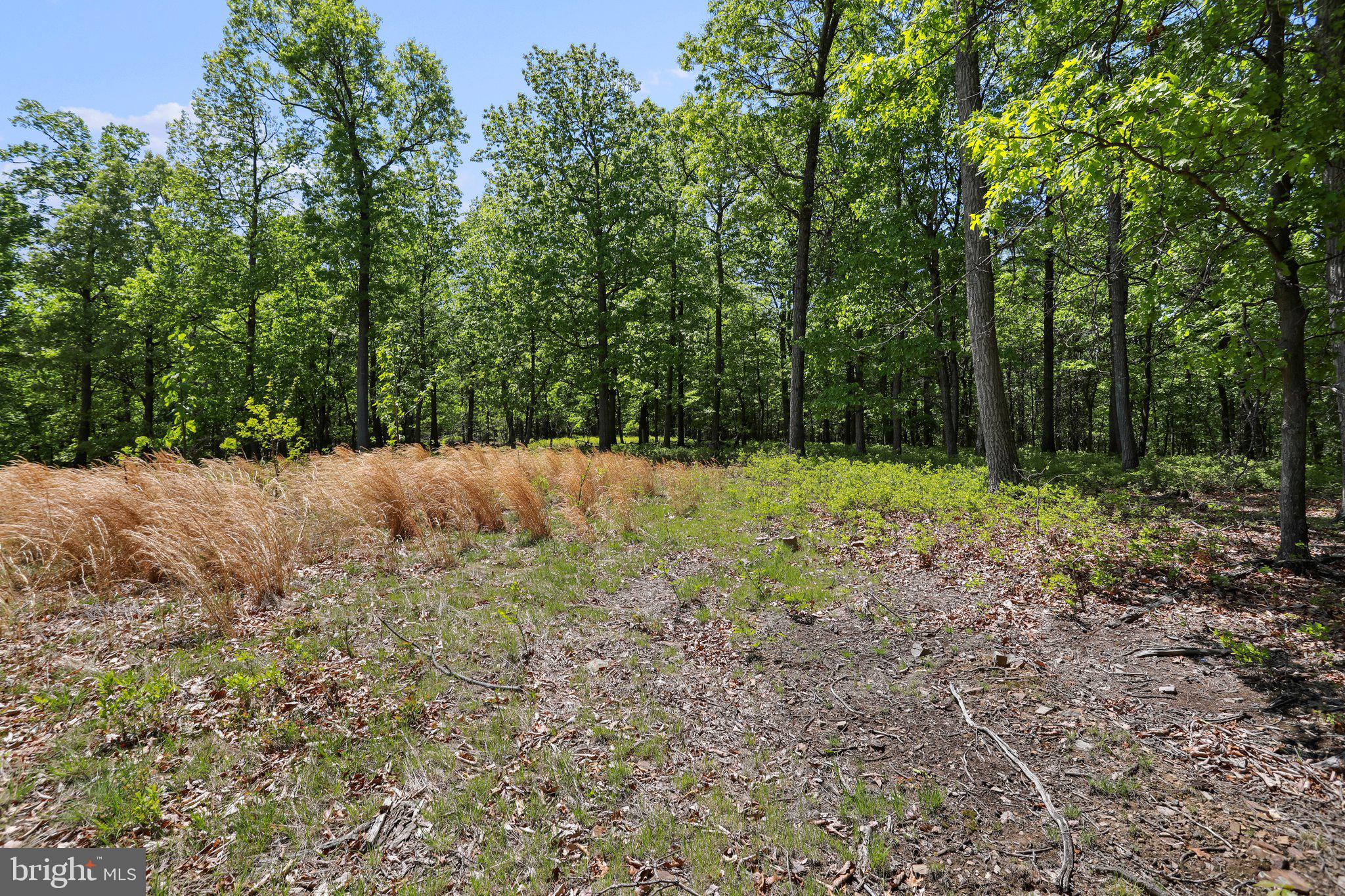 BLUFFS ON THE POTOMAC - Land