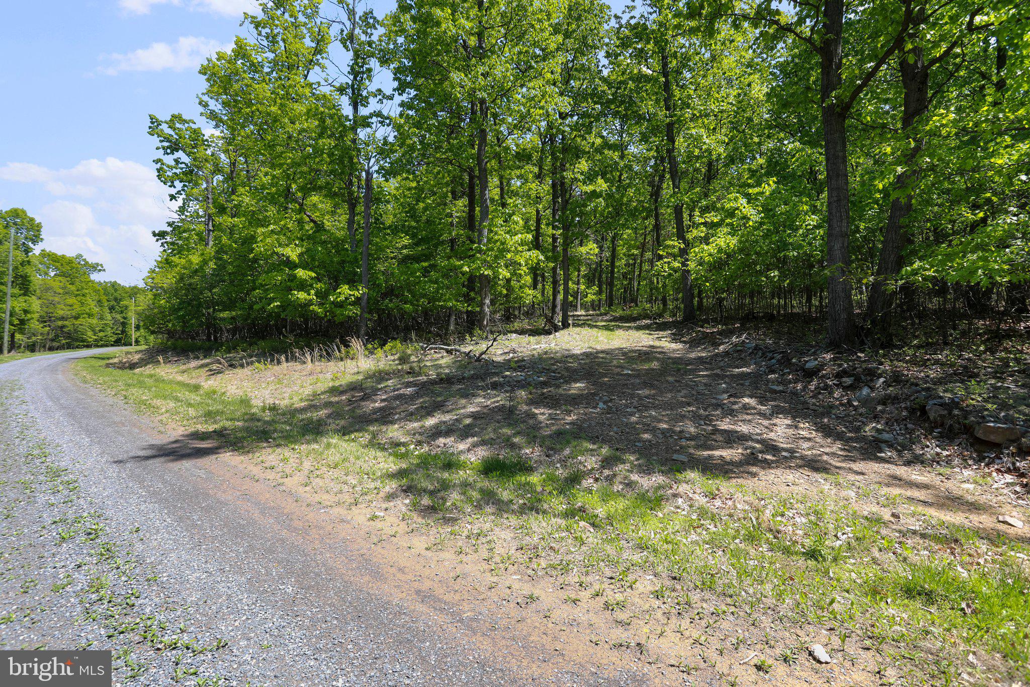 BLUFFS ON THE POTOMAC - Land