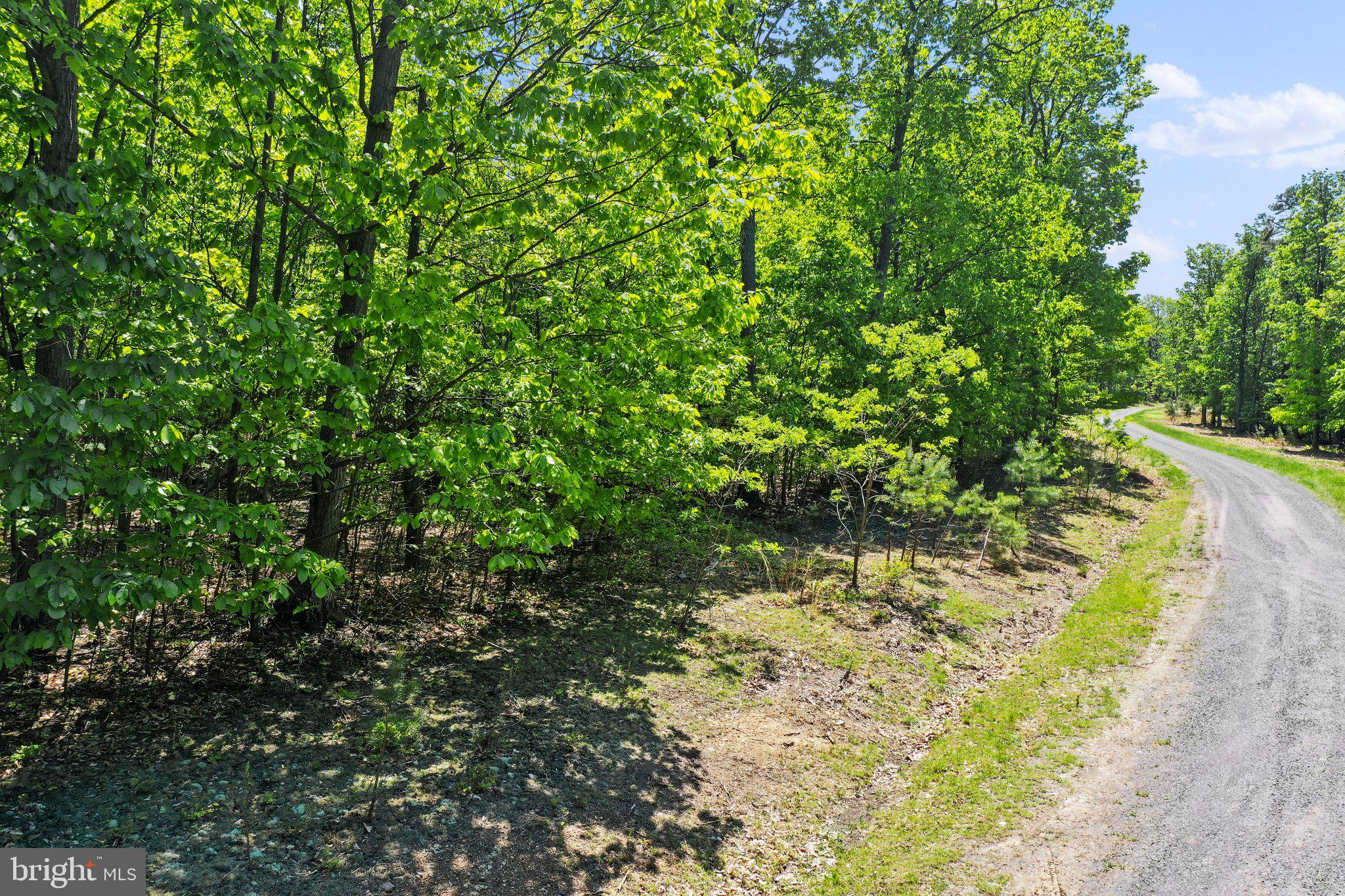 BLUFFS ON THE POTOMAC - Land