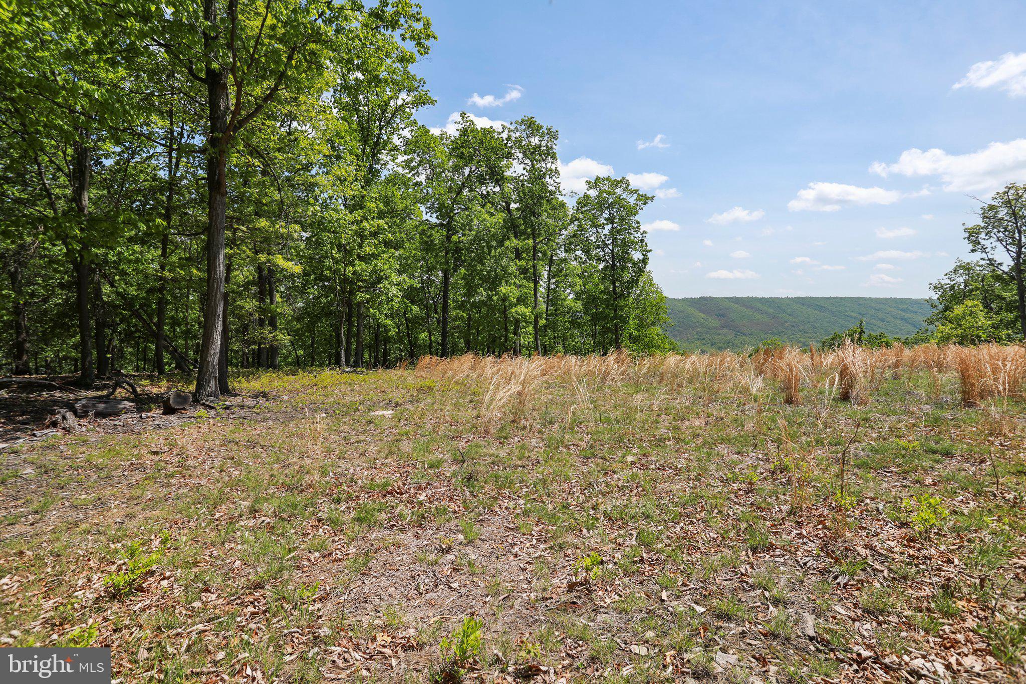 BLUFFS ON THE POTOMAC - Land