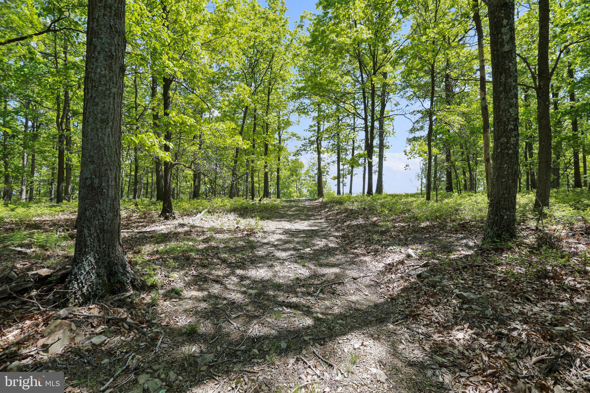 BLUFFS ON THE POTOMAC - Land