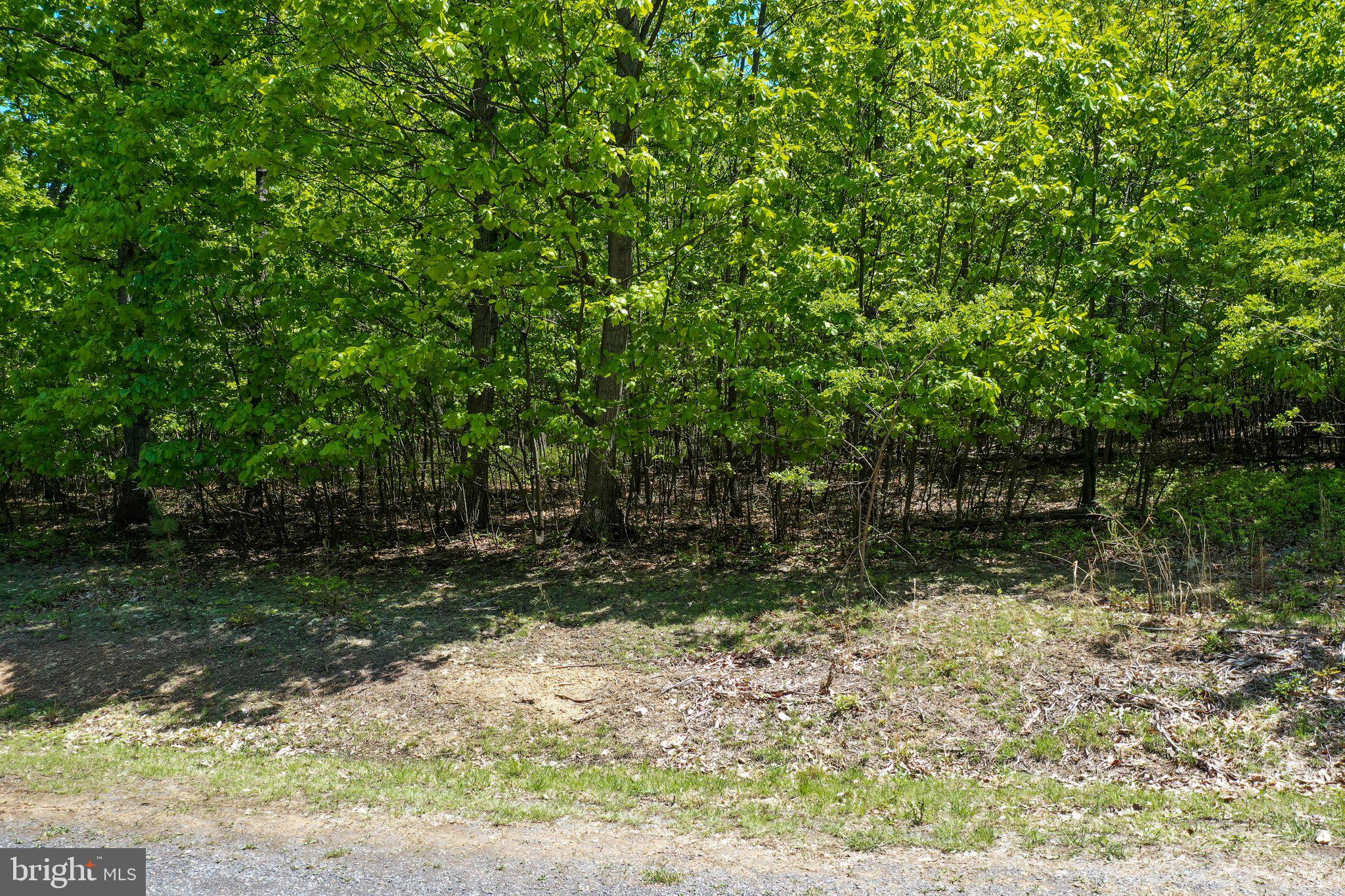 BLUFFS ON THE POTOMAC - Land