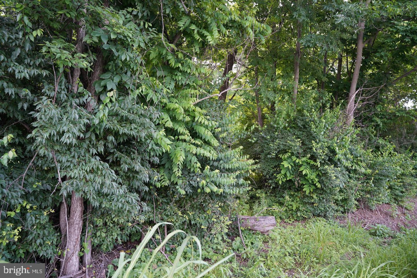 NONE AVAILABLE - Land