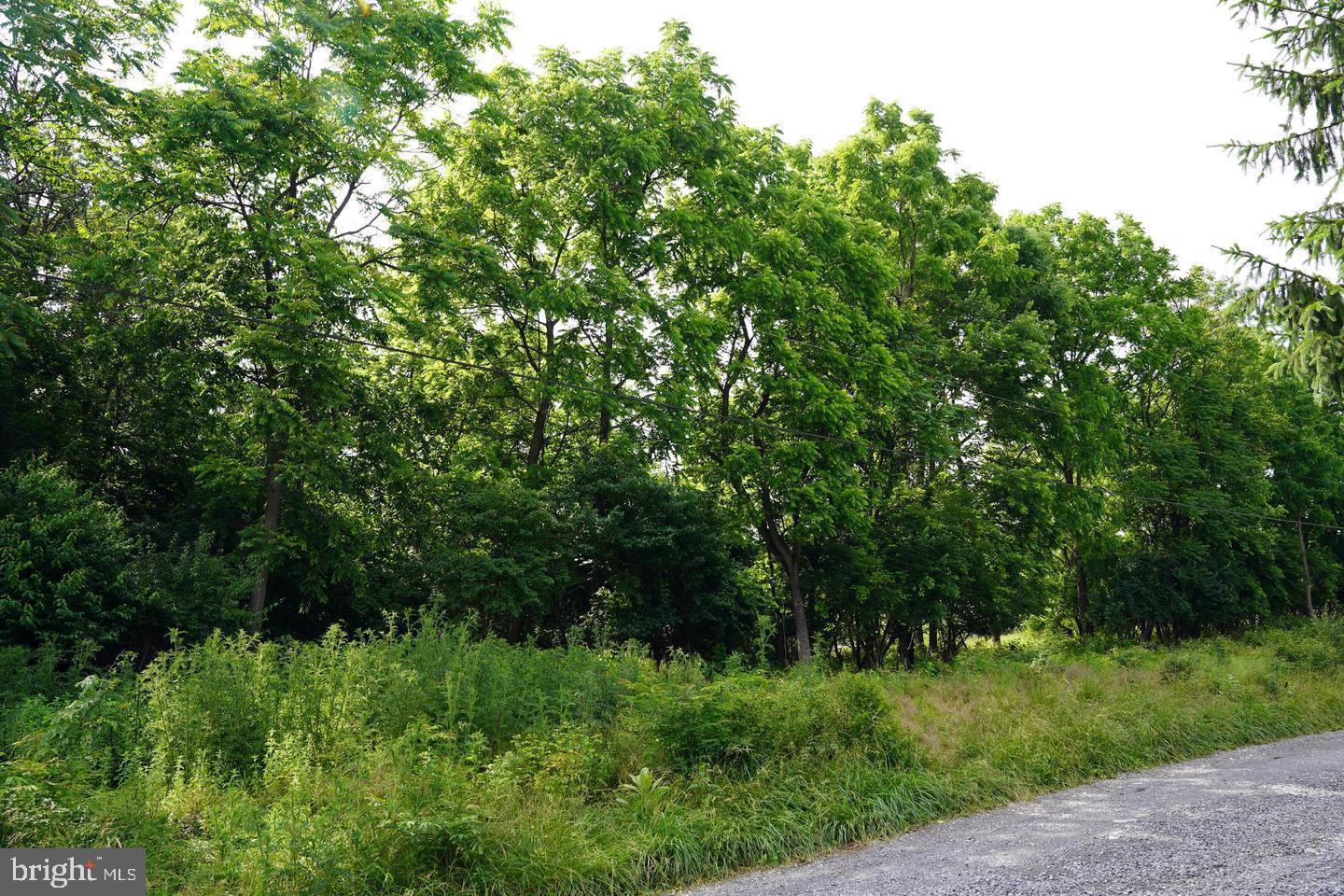 NONE AVAILABLE - Land