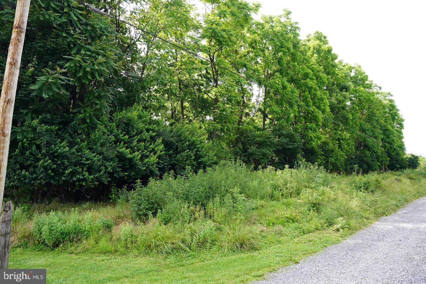 NONE AVAILABLE - Land