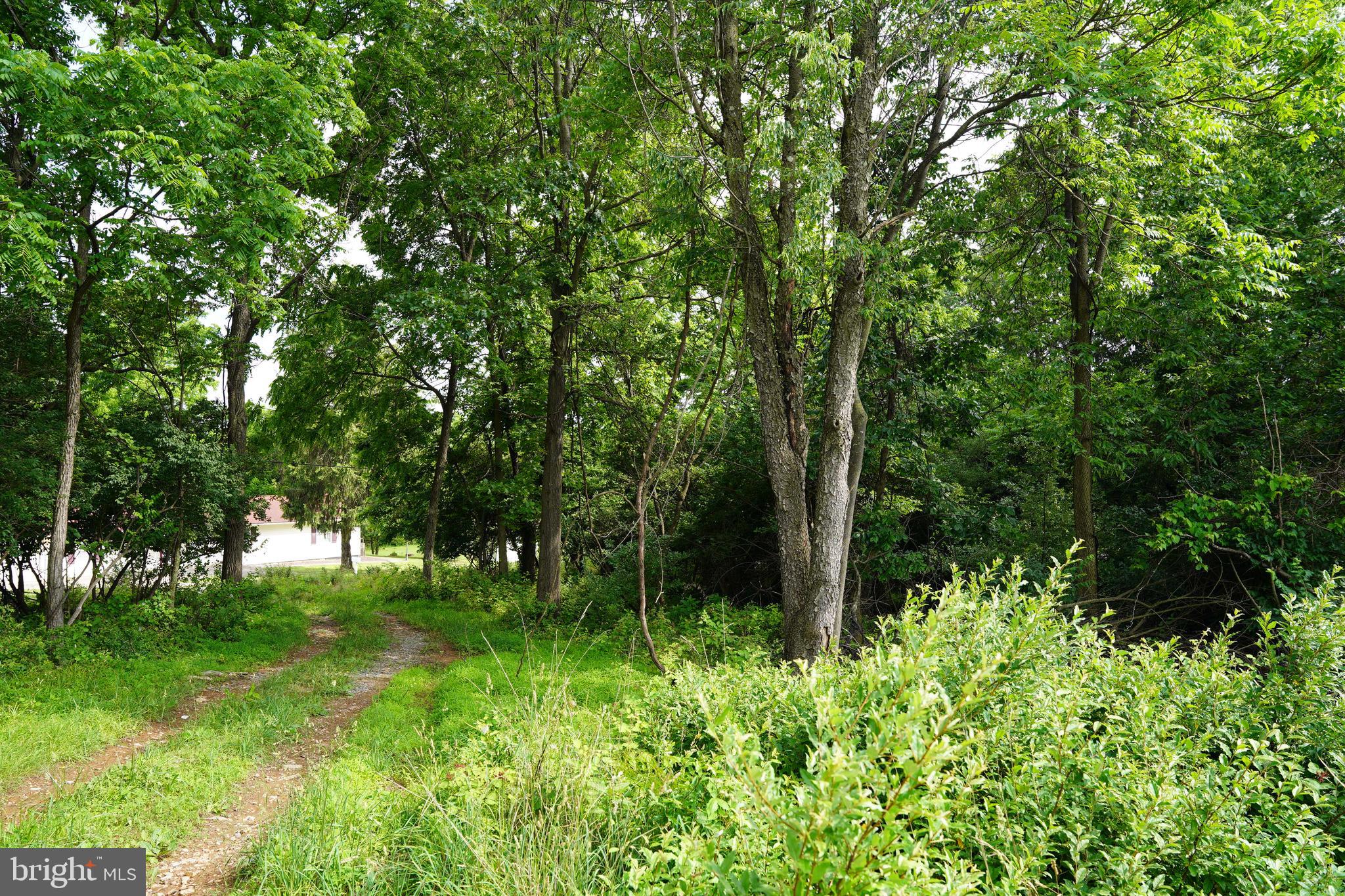 HAROLD DRIVE