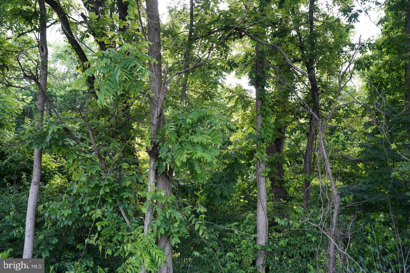 NONE AVAILABLE - Land