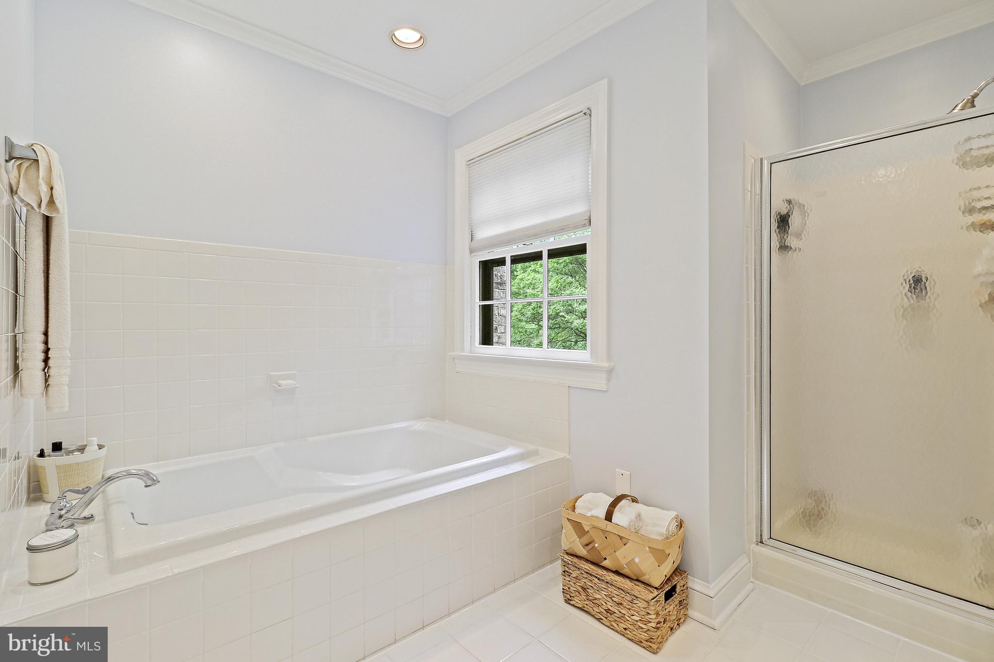 CHAIN BRIDGE WOODS - Residential