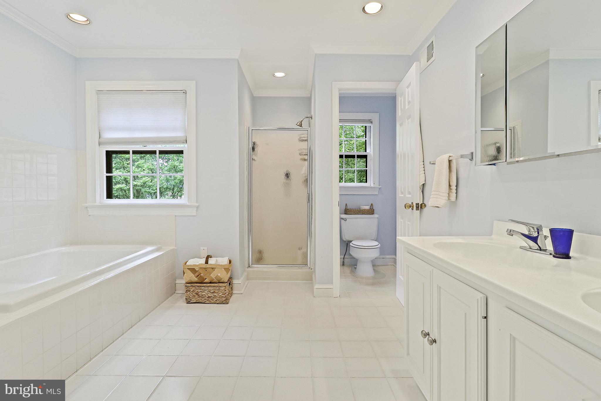 CHAIN BRIDGE WOODS - Residential