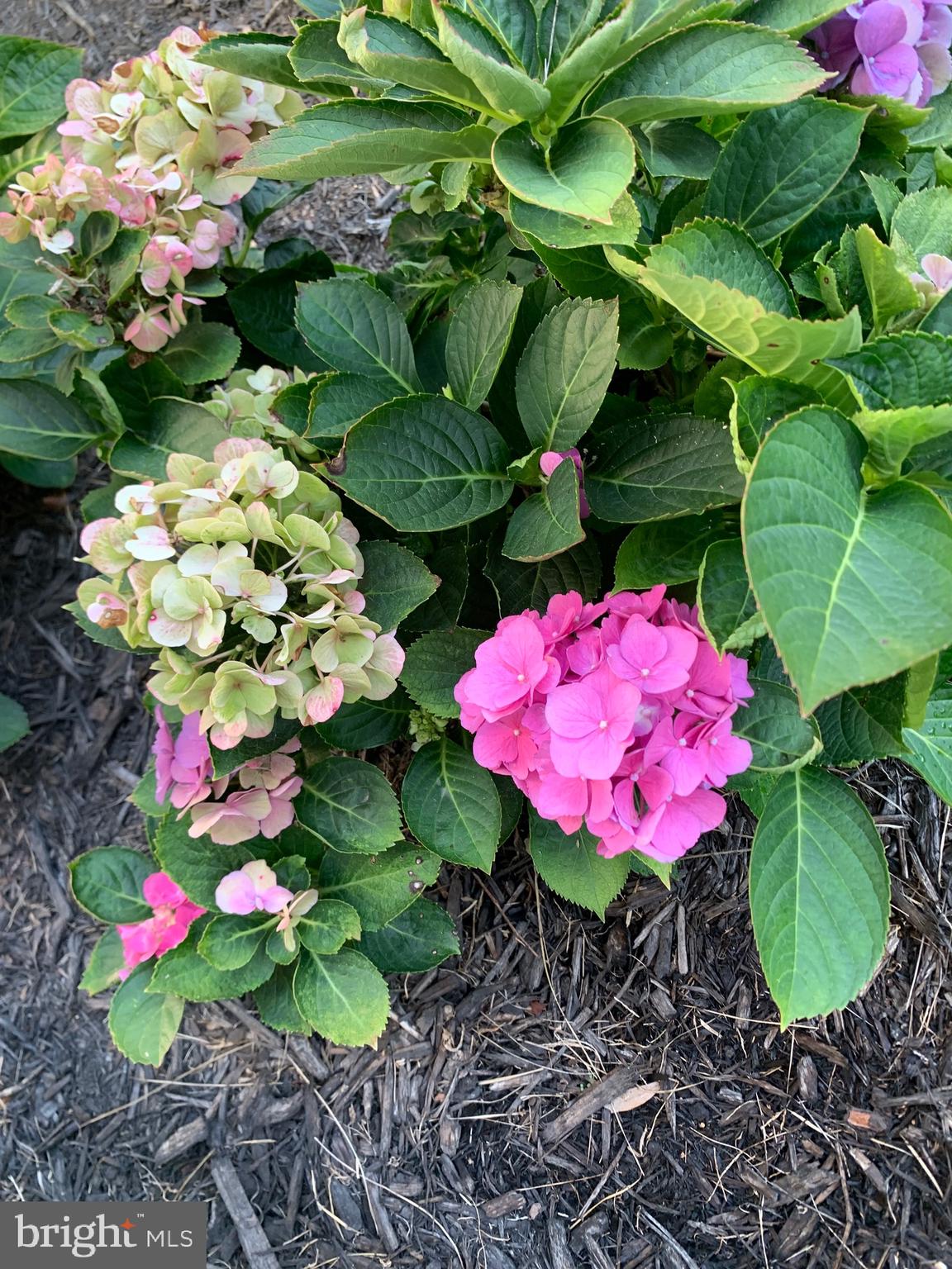 WHISPERING HILLS - Residential