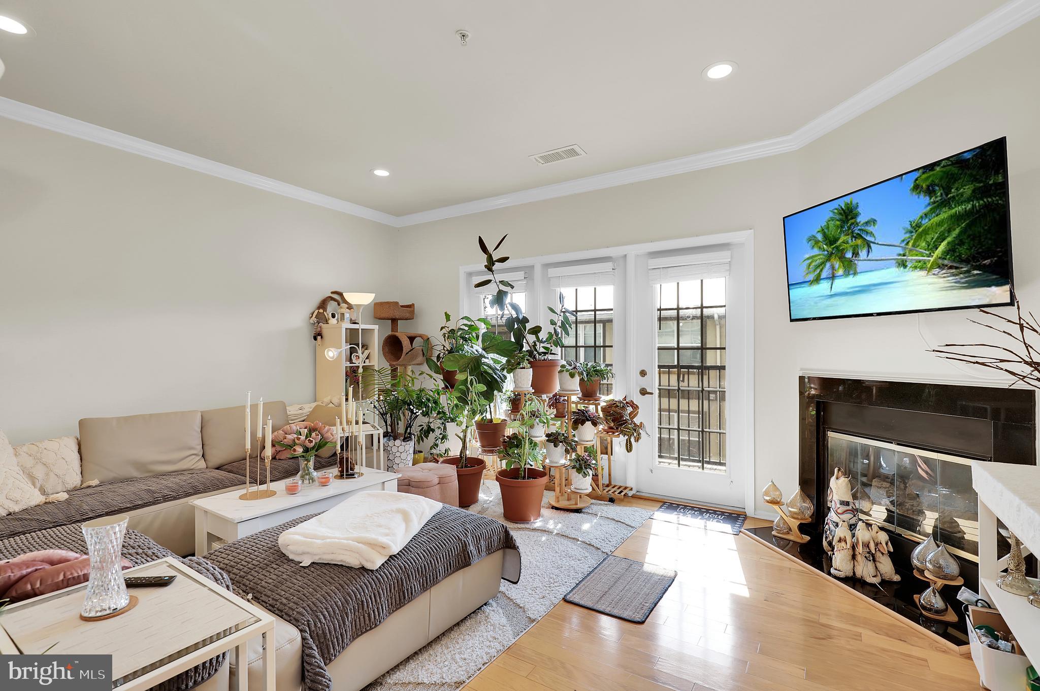 PIKE AND ROSE - Residential