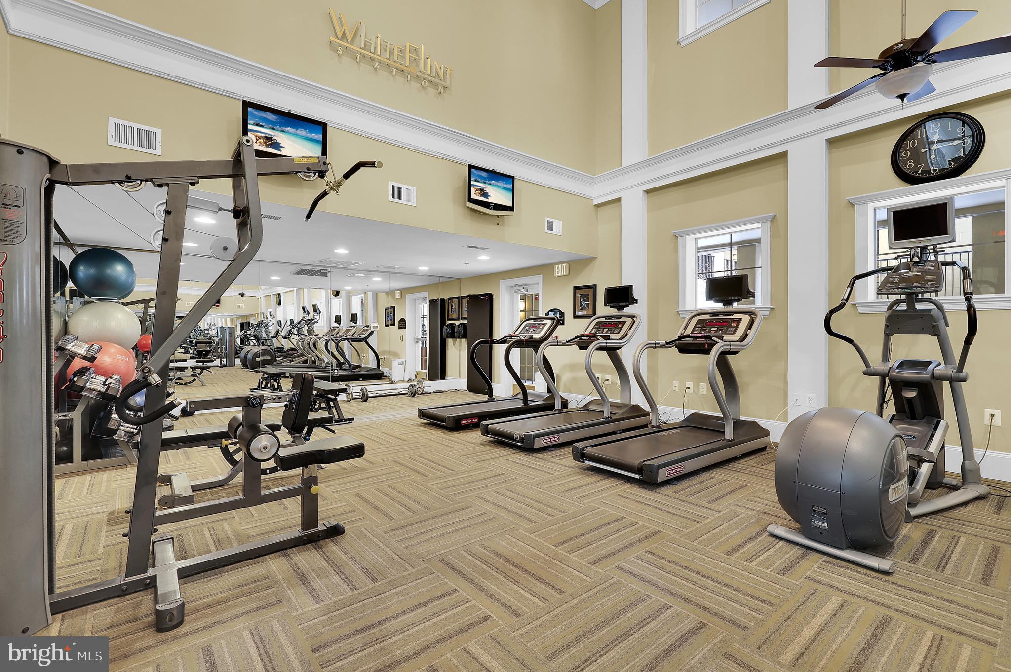 PIKE AND ROSE - Residential