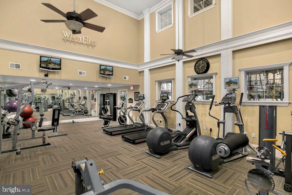 11800 OLD GEORGETOWN ROAD 1407