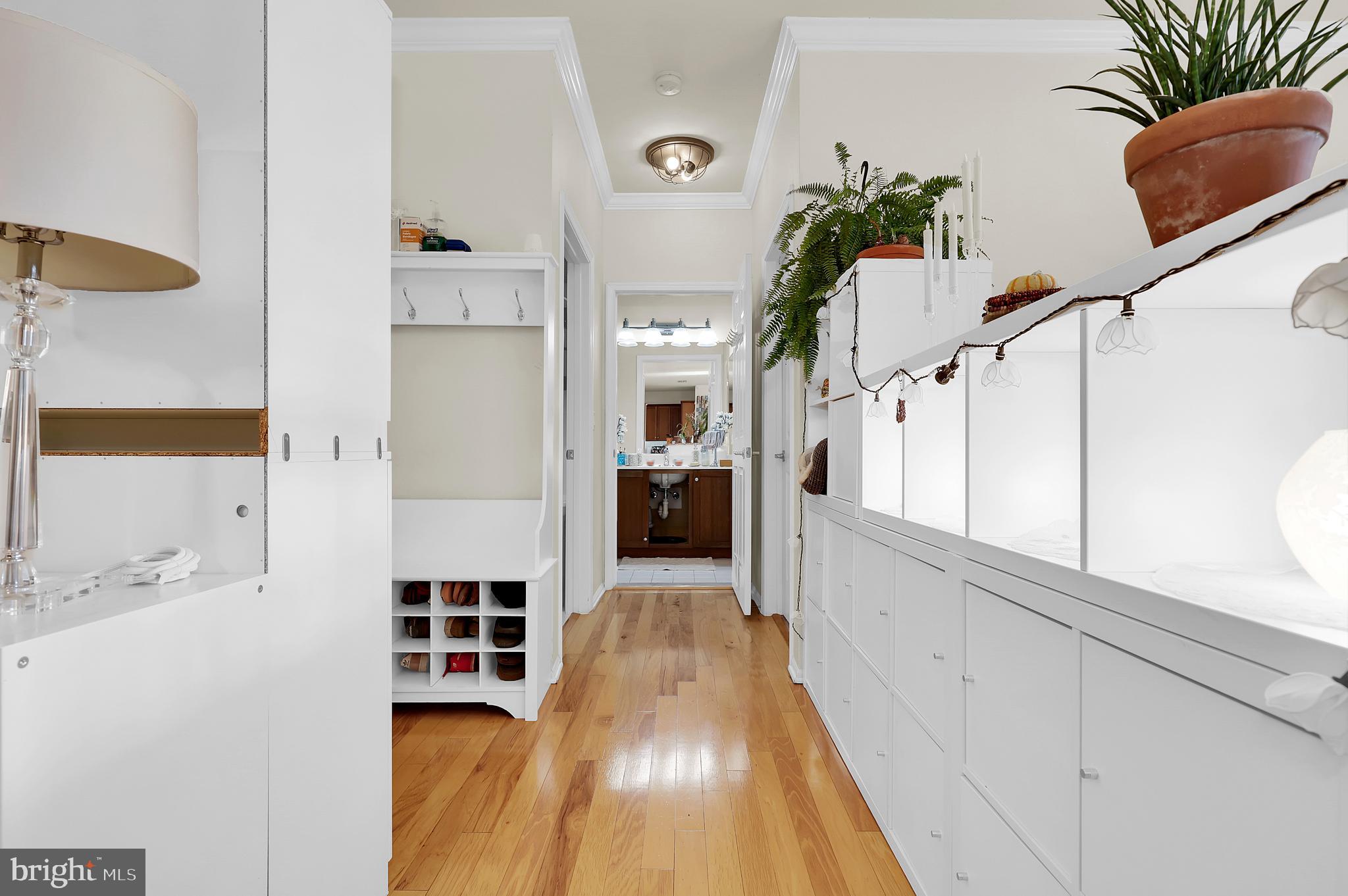 PIKE AND ROSE - Residential