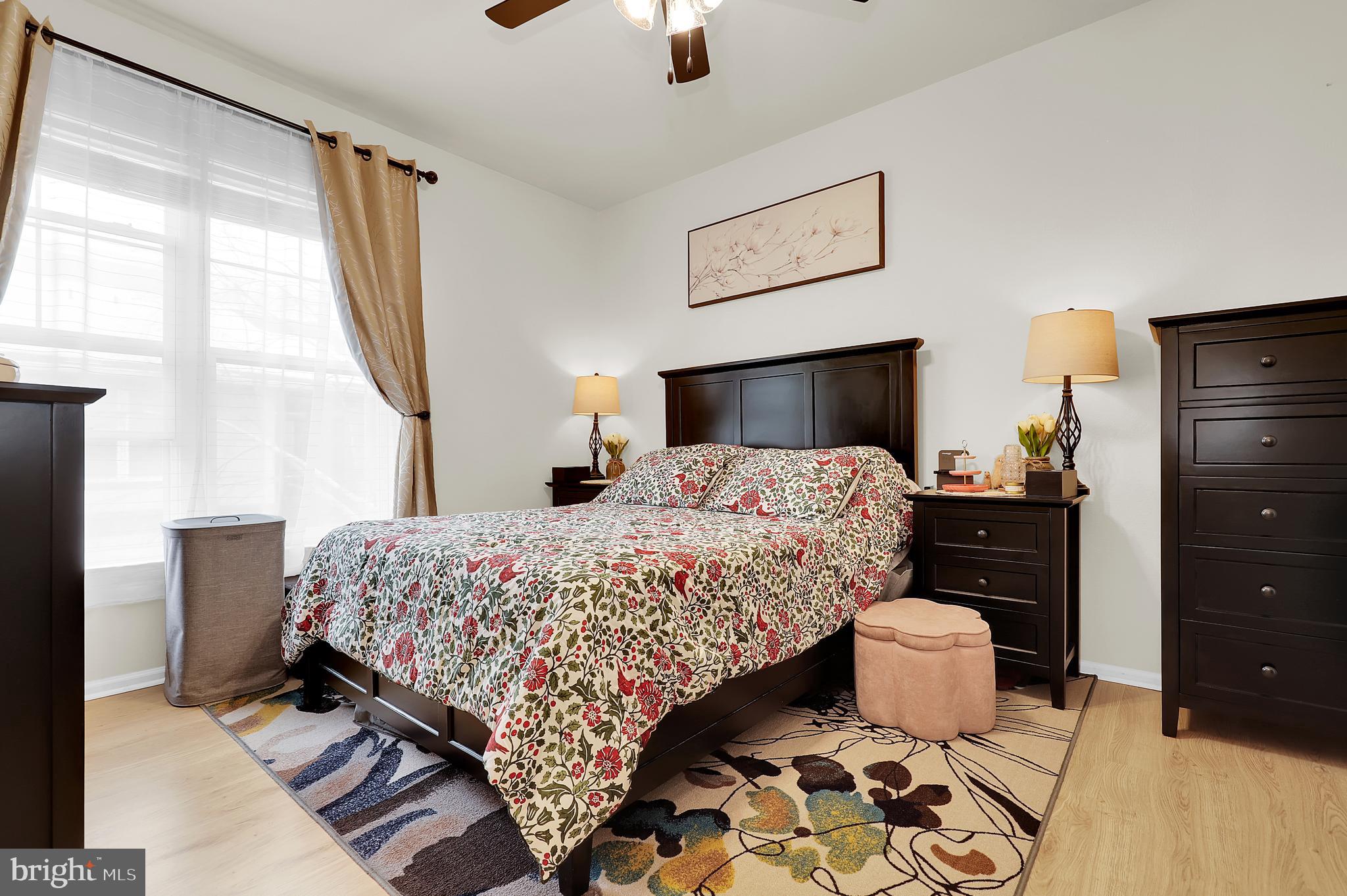 PIKE AND ROSE - Residential