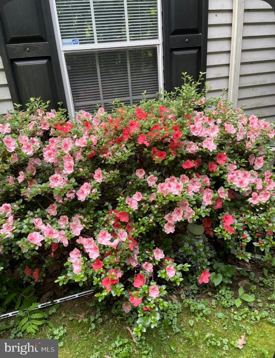 WOODBRIDGE - Residential