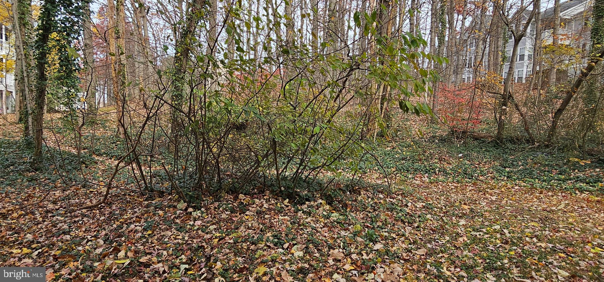 1302 CLOVER VALLEY WAY C 1302 C