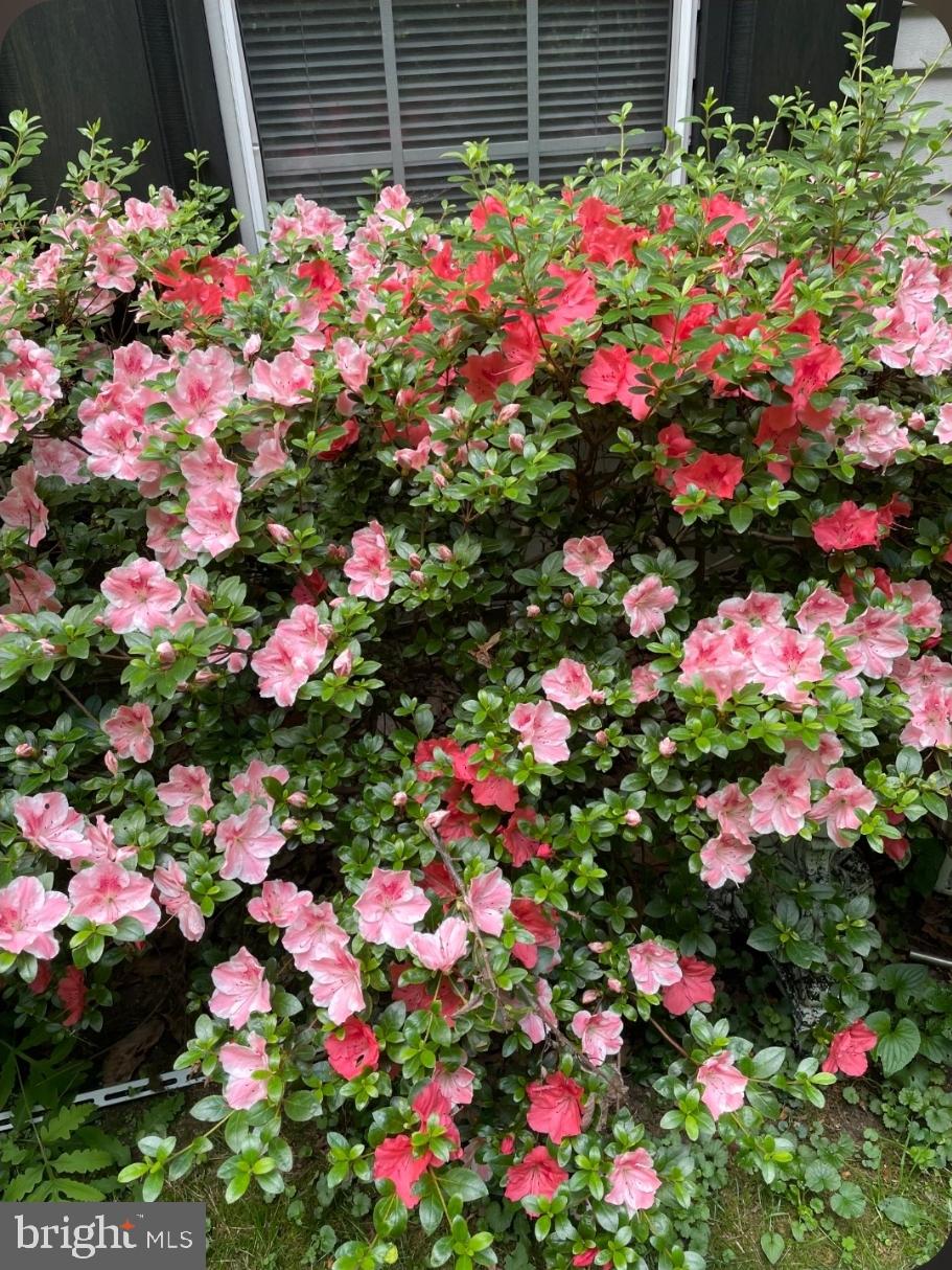 WOODBRIDGE - Residential