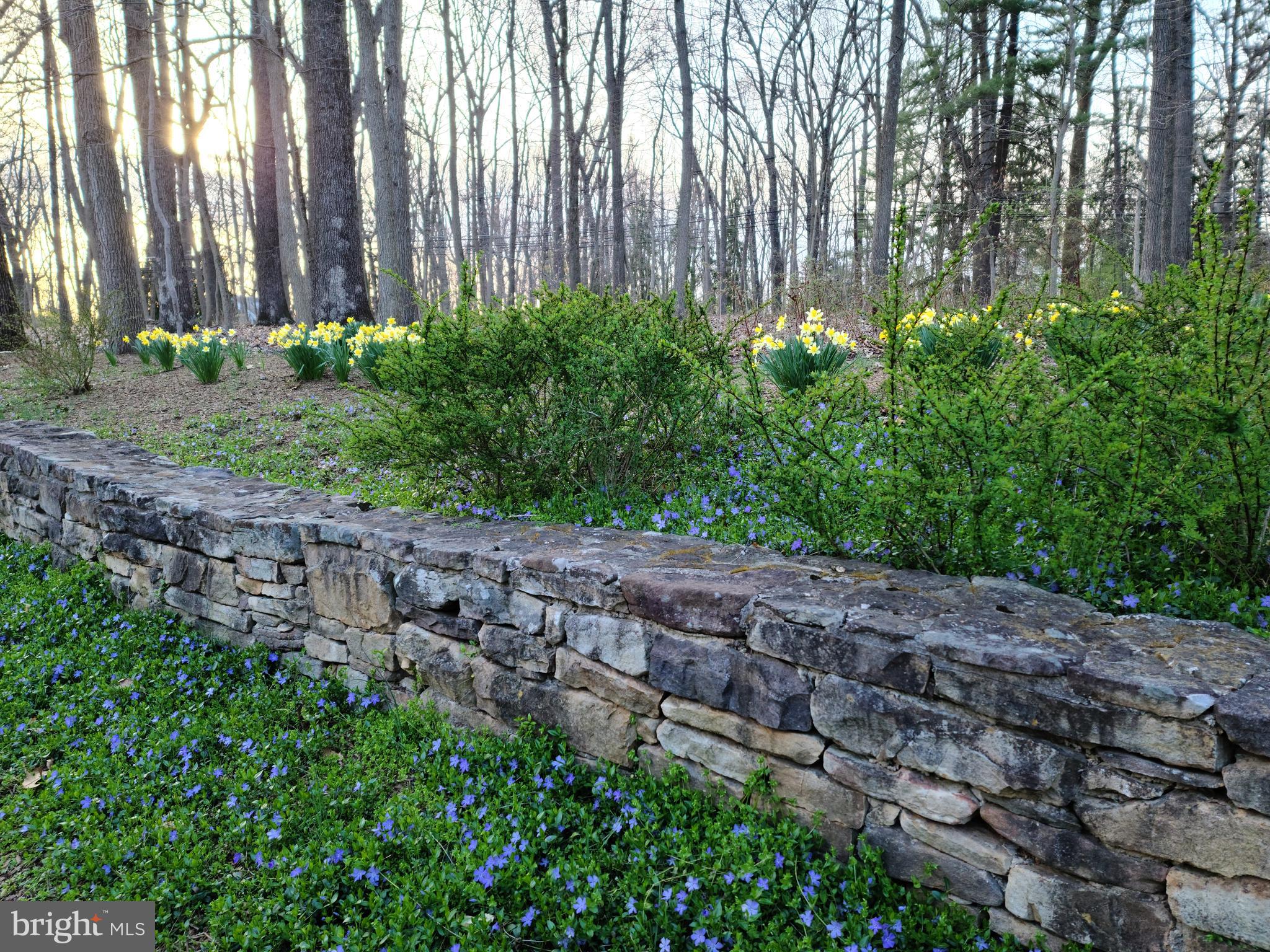 CAVES VALLEY - Residential
