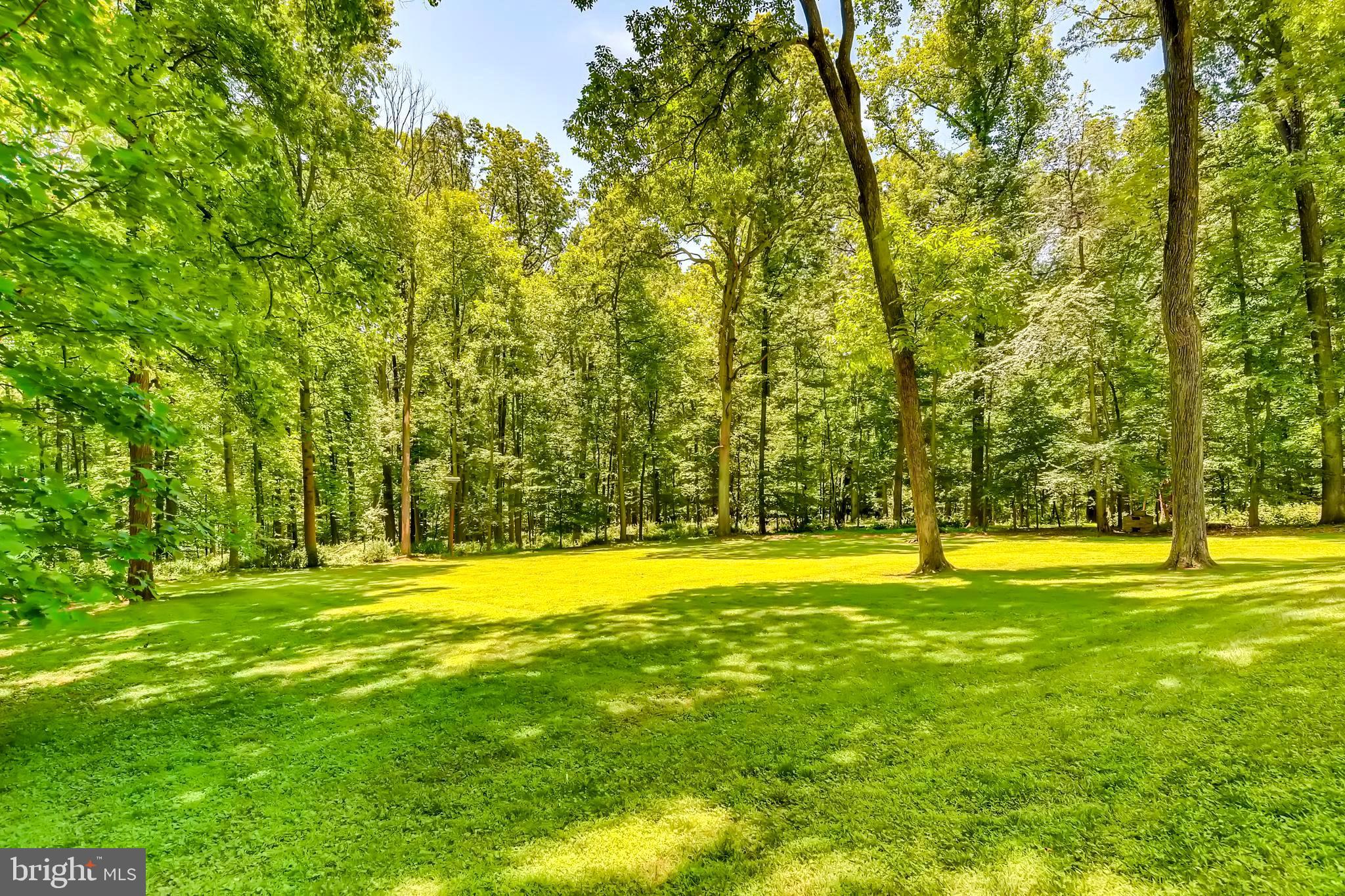 CAVES VALLEY - Residential